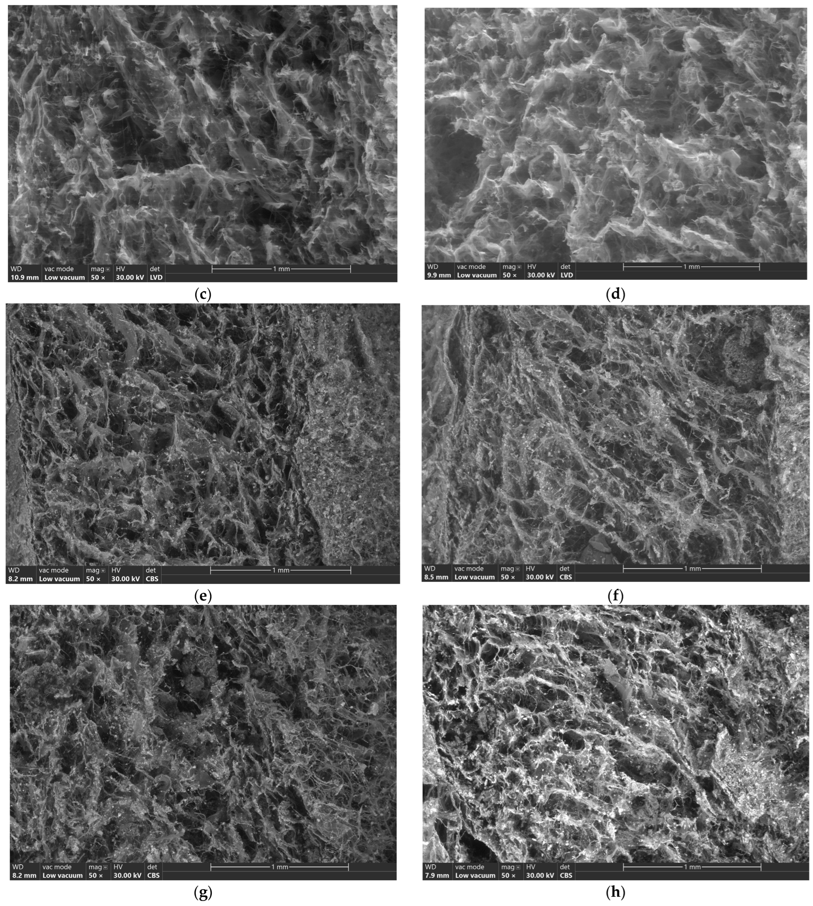 Biomimetics 09 00428 g003b