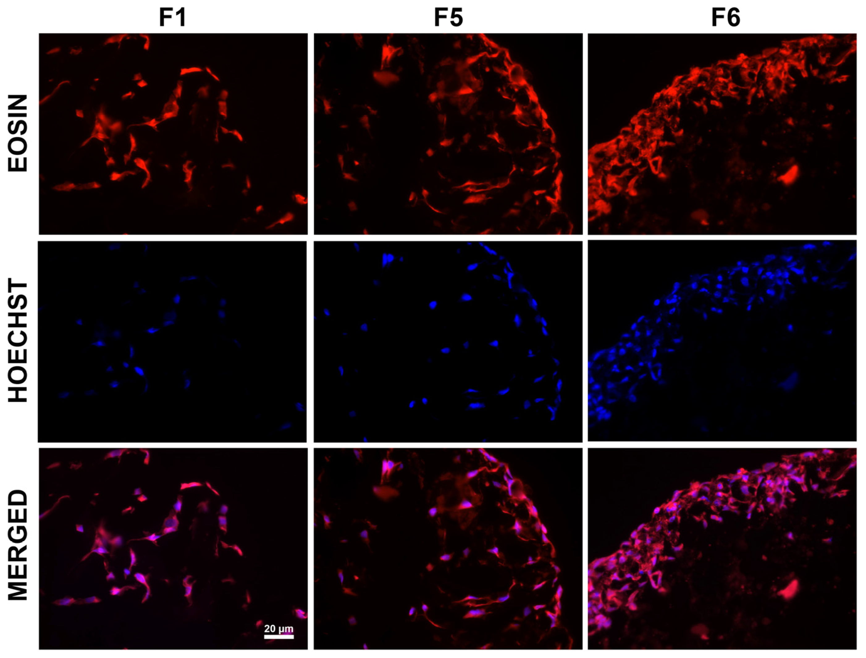 Biomimetics 09 00428 g007