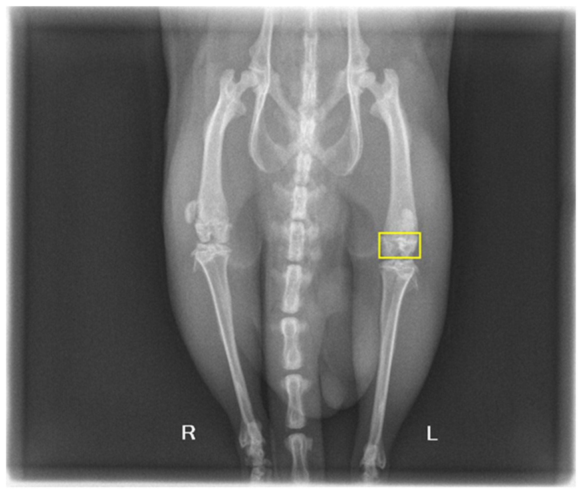 Biomimetics 09 00428 g008