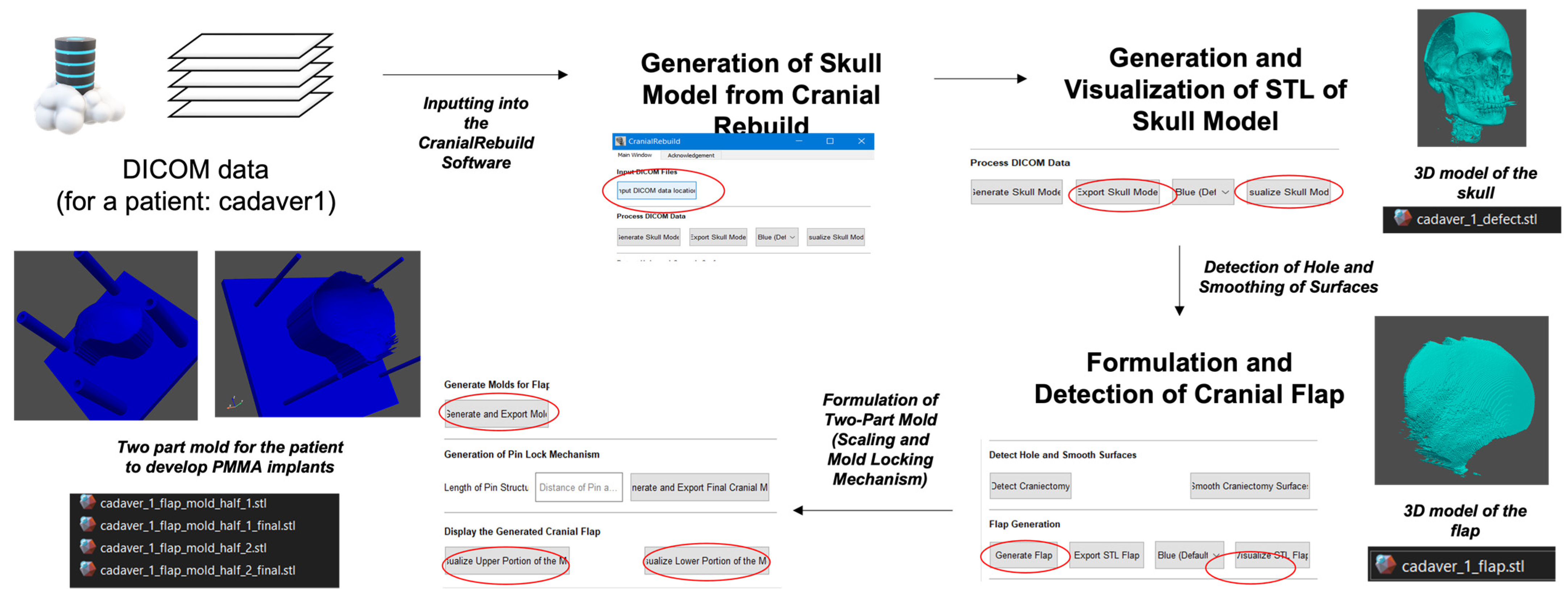 Biomimetics 09 00430 g001