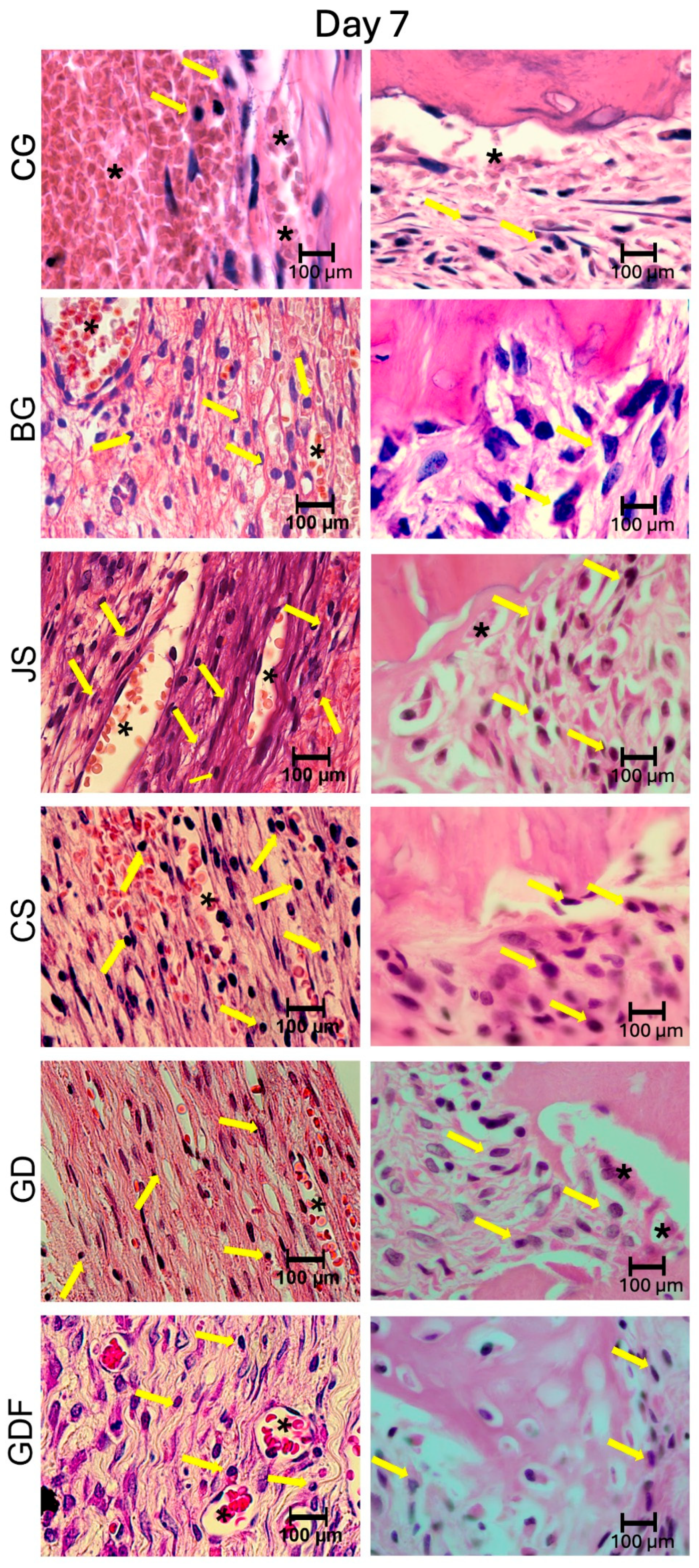 Biomimetics 09 00431 g007 Biomimetics 09 00431 g007