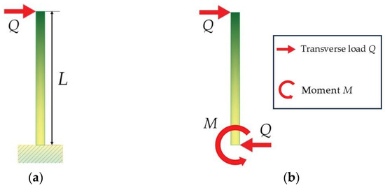 Insect Rod Effect Wax Protrusions on Anti-Adhesive Plant Surfaces and Their Interactions ...