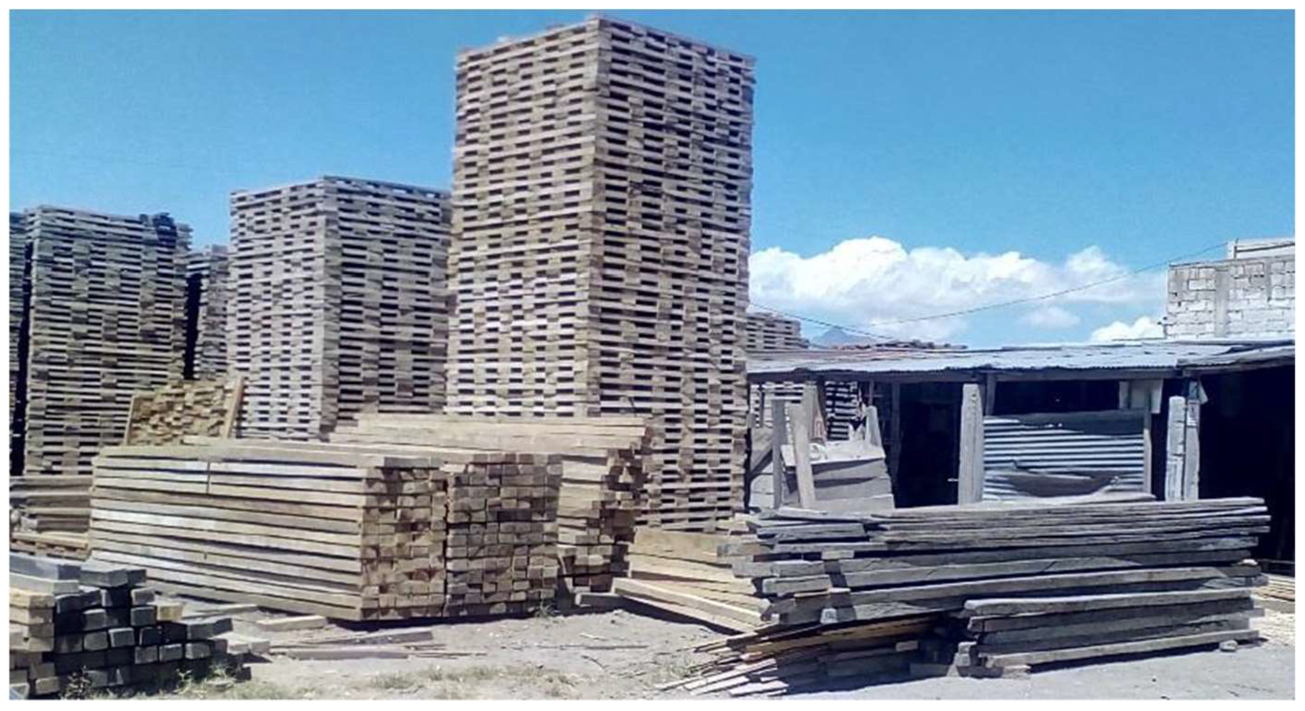 Biomimetics 09 00443 g001