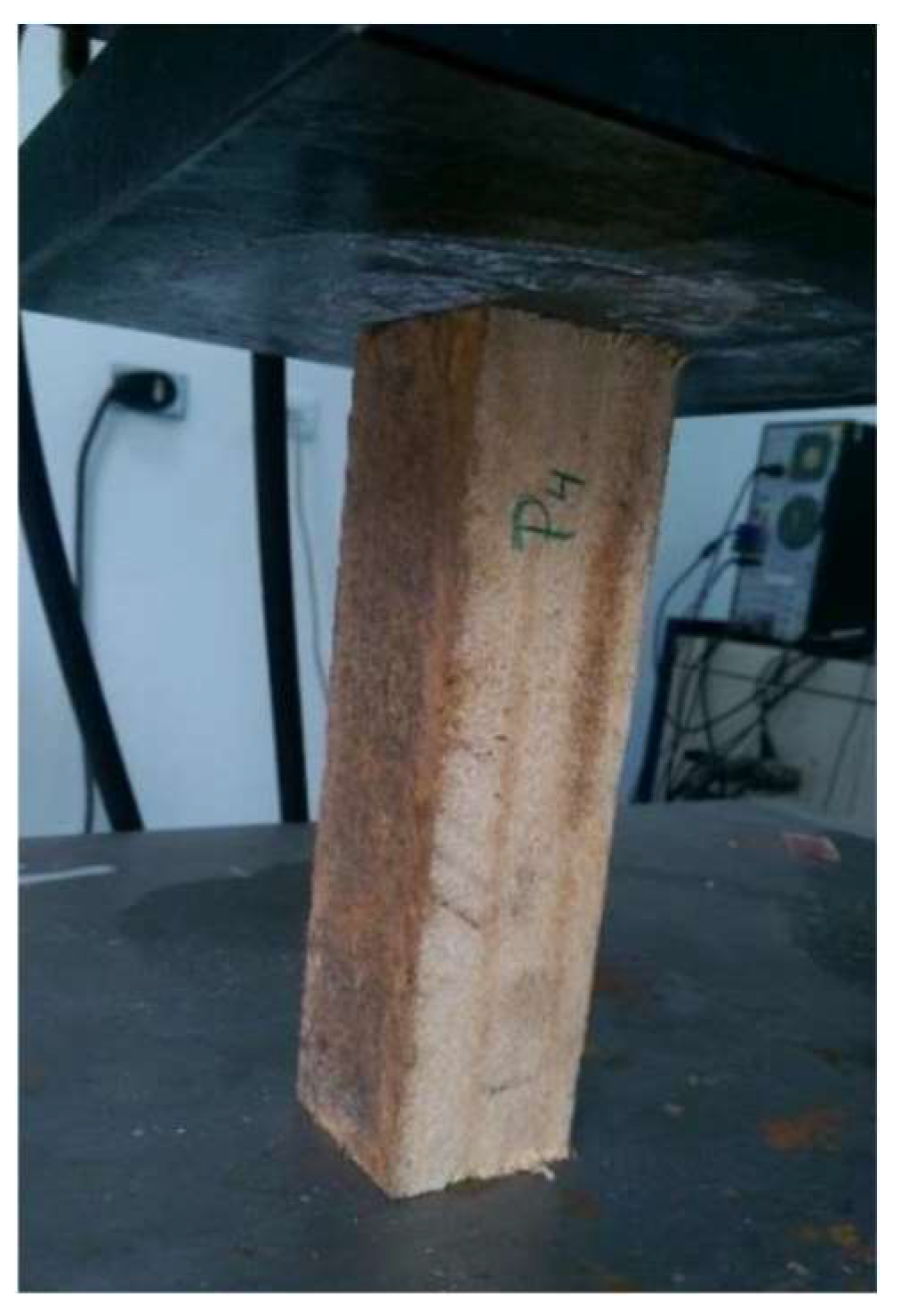 Biomimetics 09 00443 g004