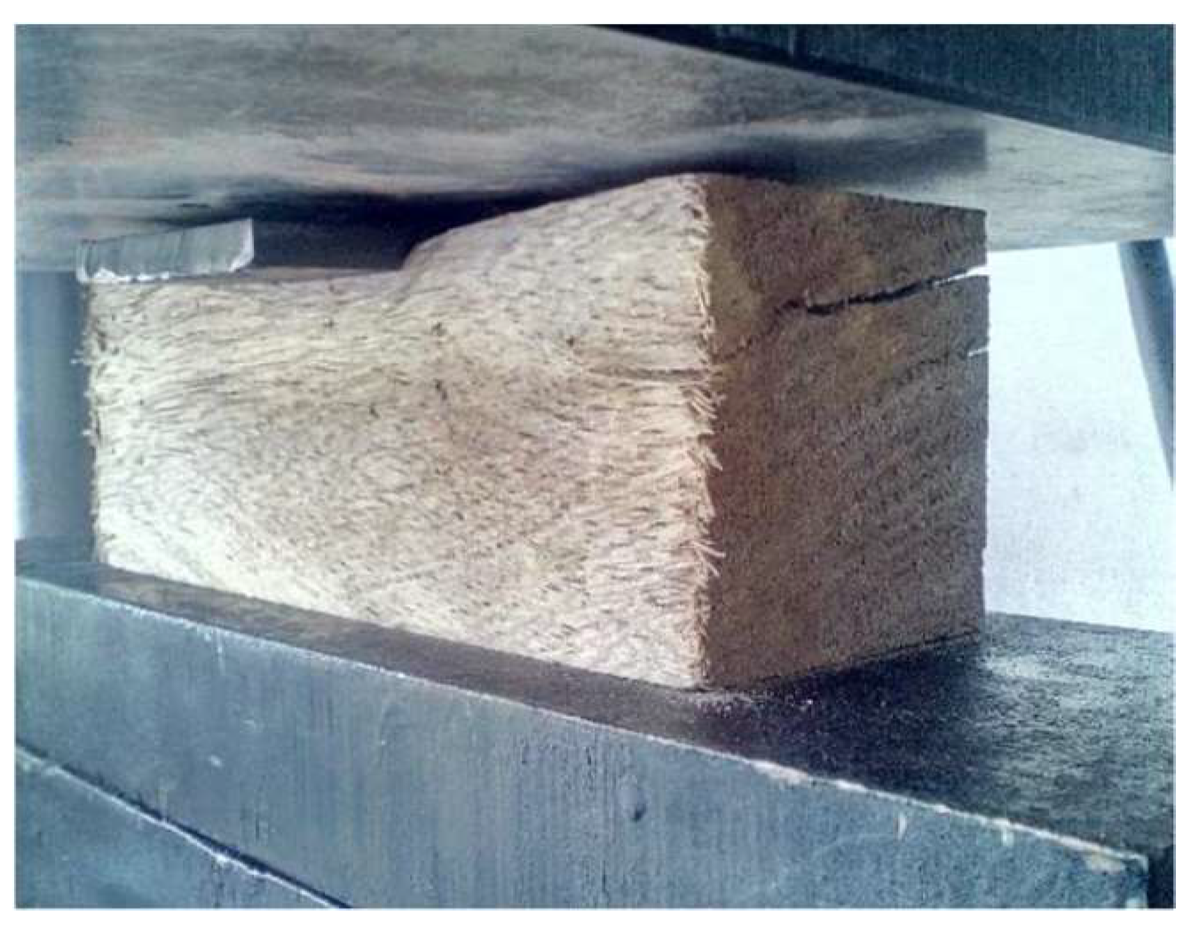 Biomimetics 09 00443 g005