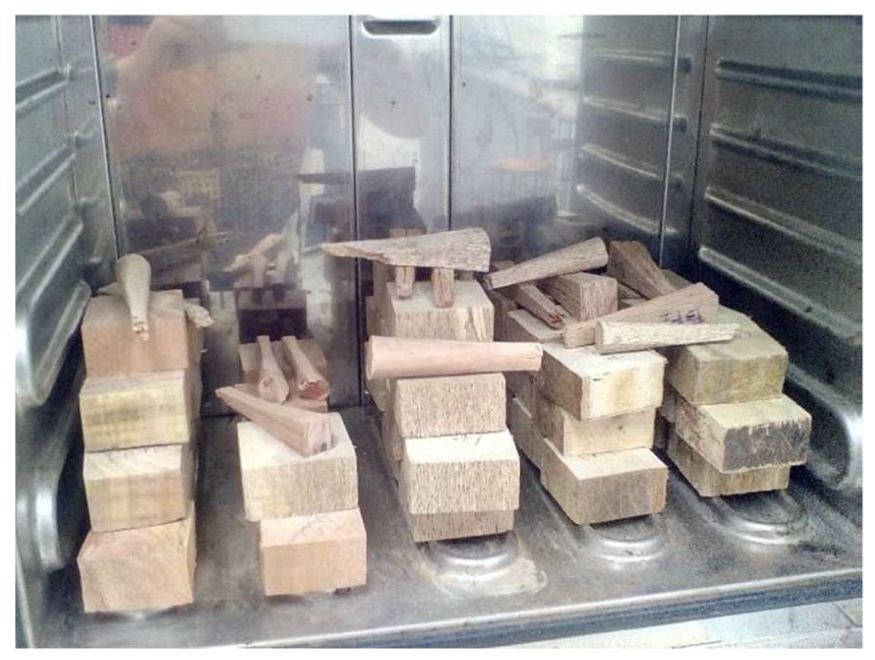 Biomimetics 09 00443 g008