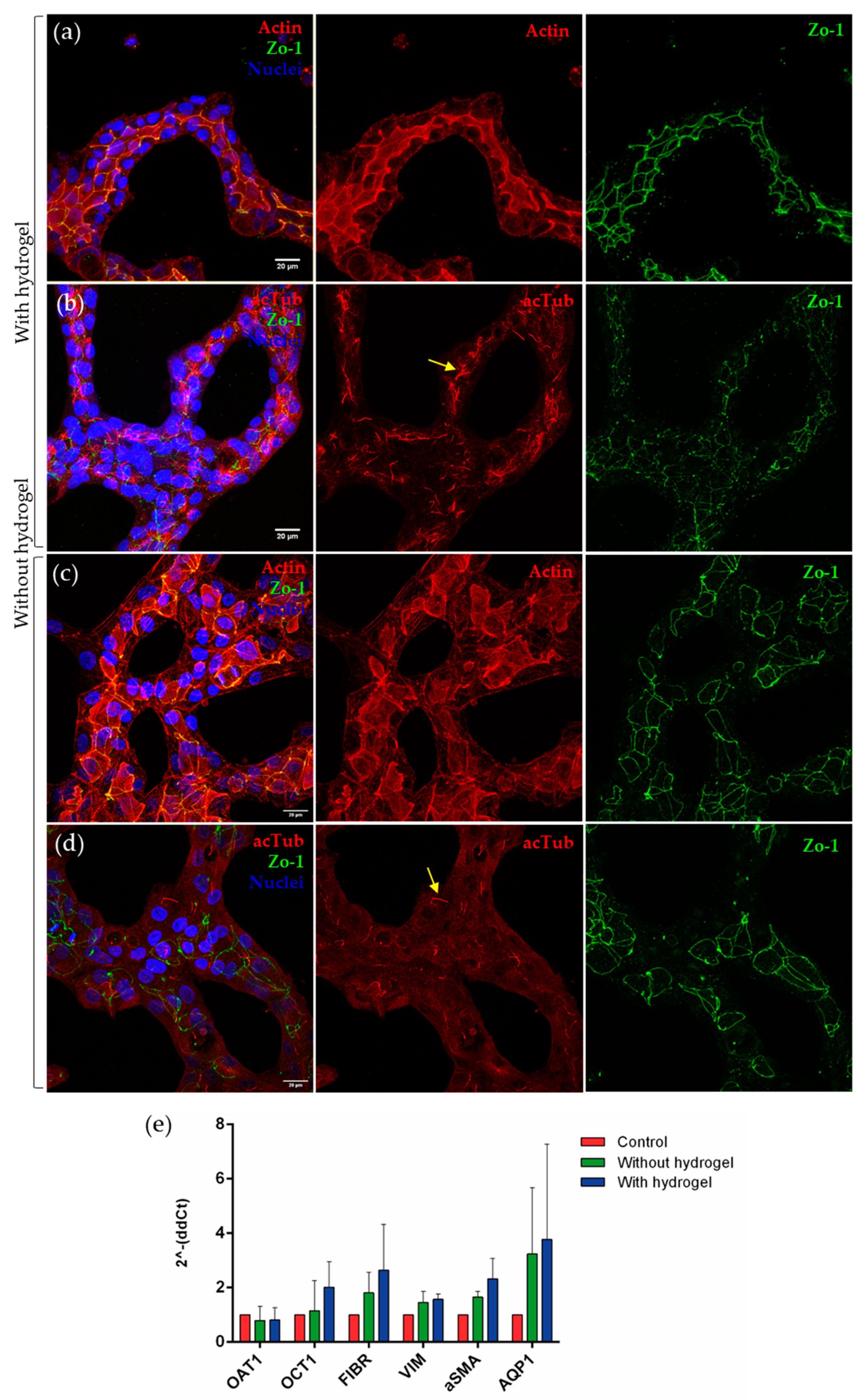Biomimetics 09 00446 g002