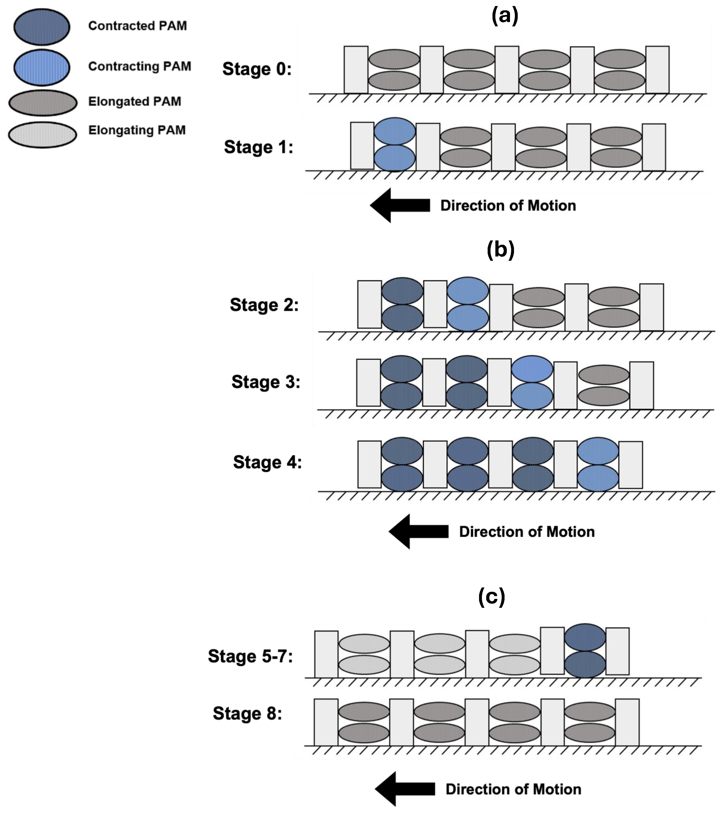 Biomimetics 09 00447 g002 Biomimetics 09 00447 g002