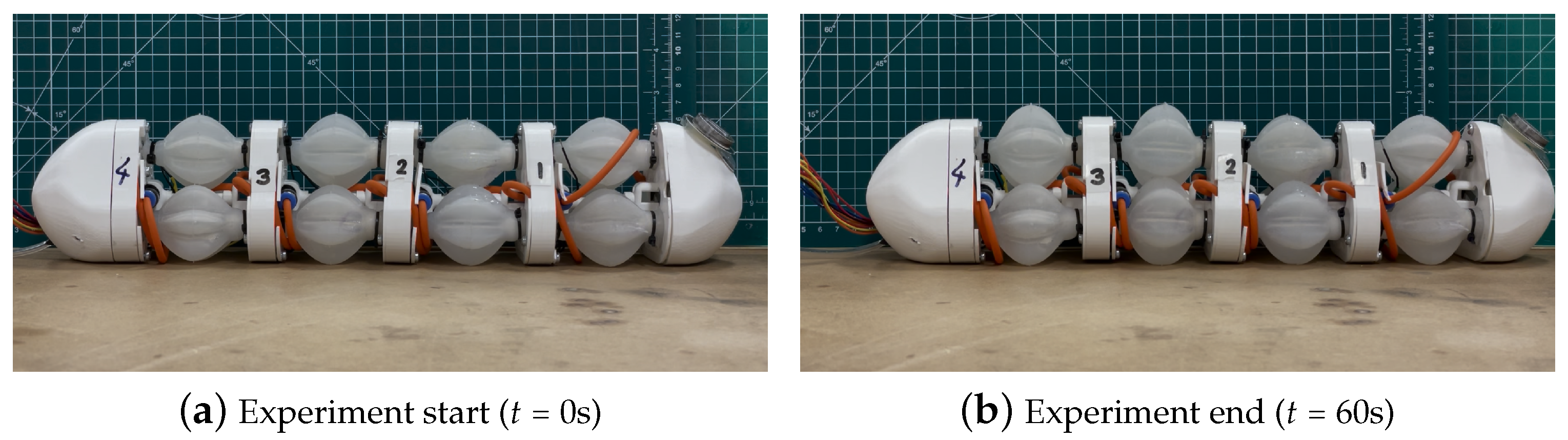 Biomimetics 09 00447 g025 Biomimetics 09 00447 g025