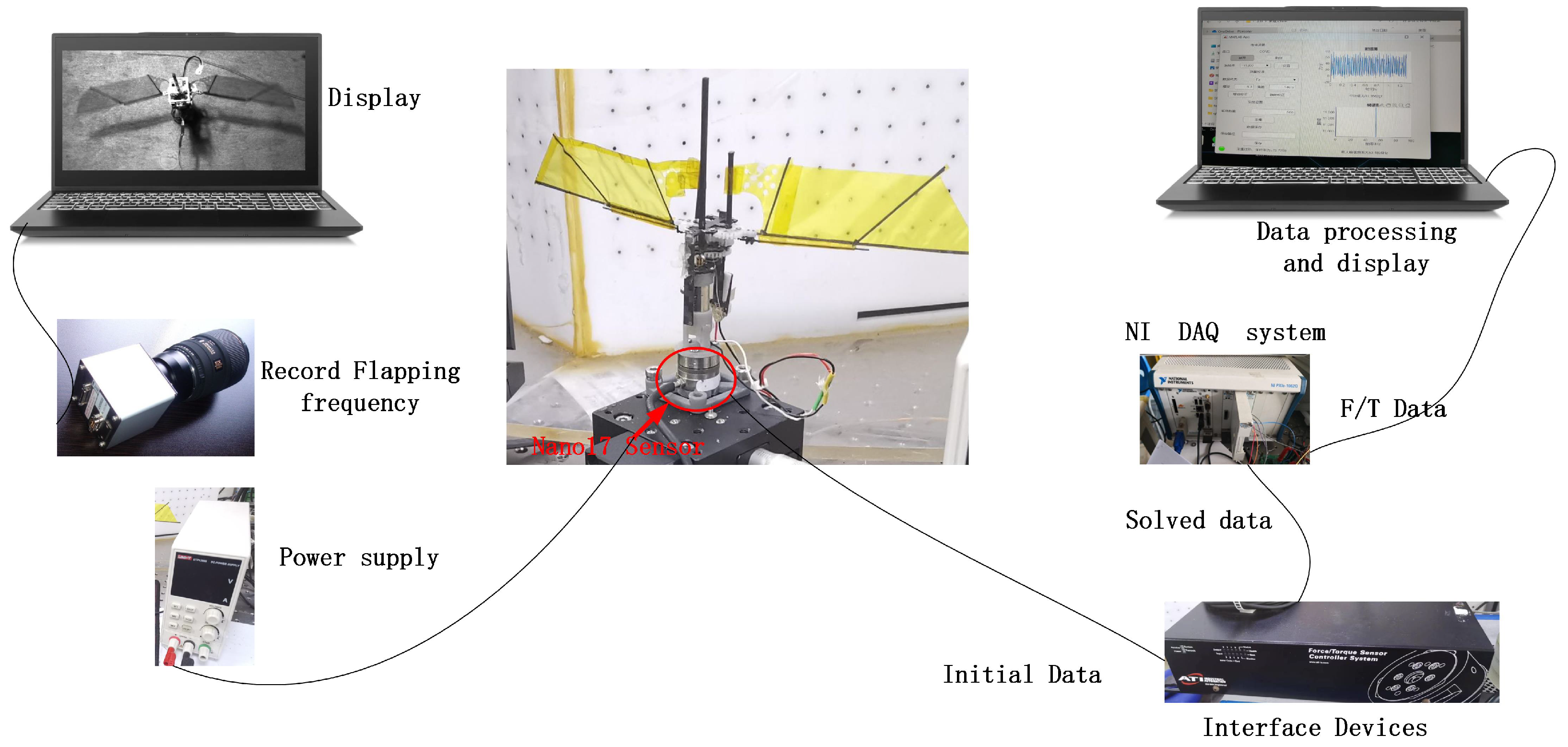 Biomimetics 09 00449 g004