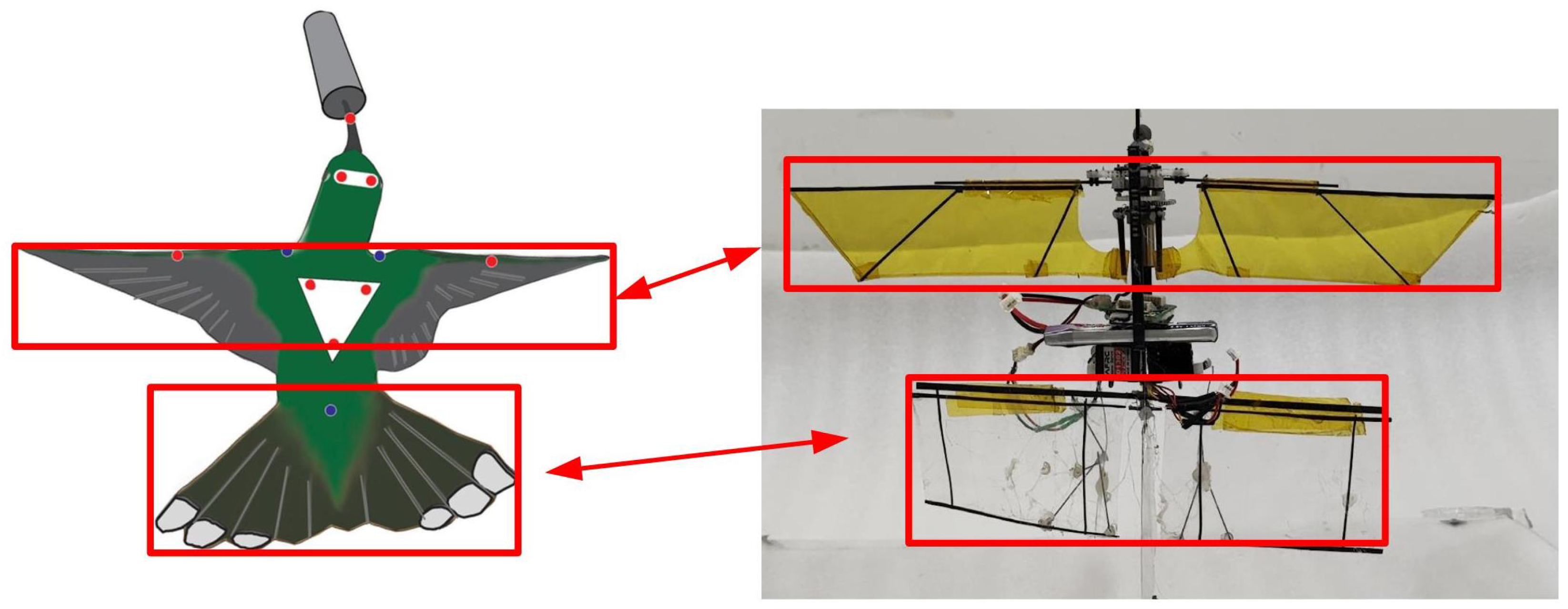 Biomimetics 09 00449 g006