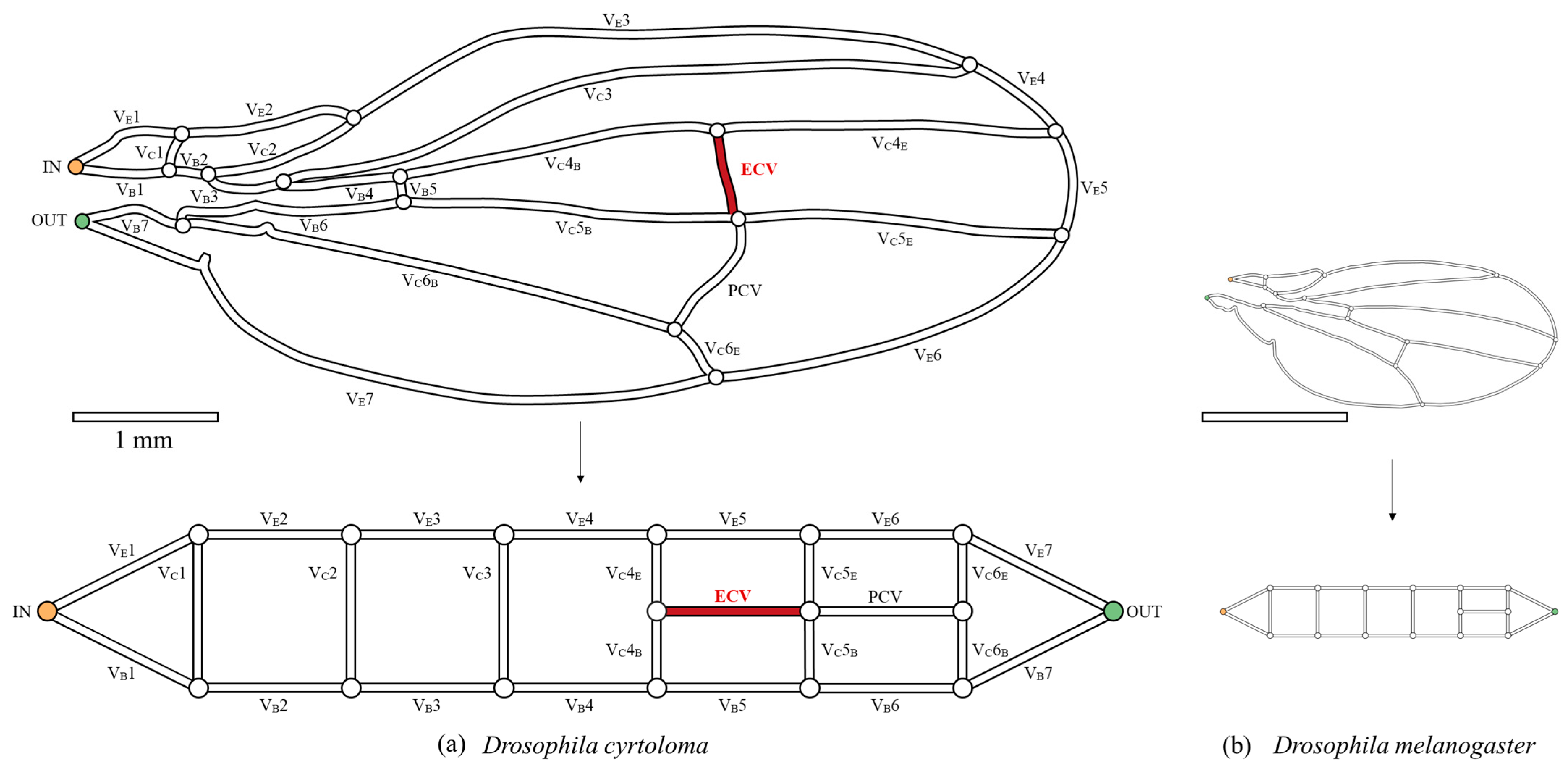 Biomimetics 09 00451 g002