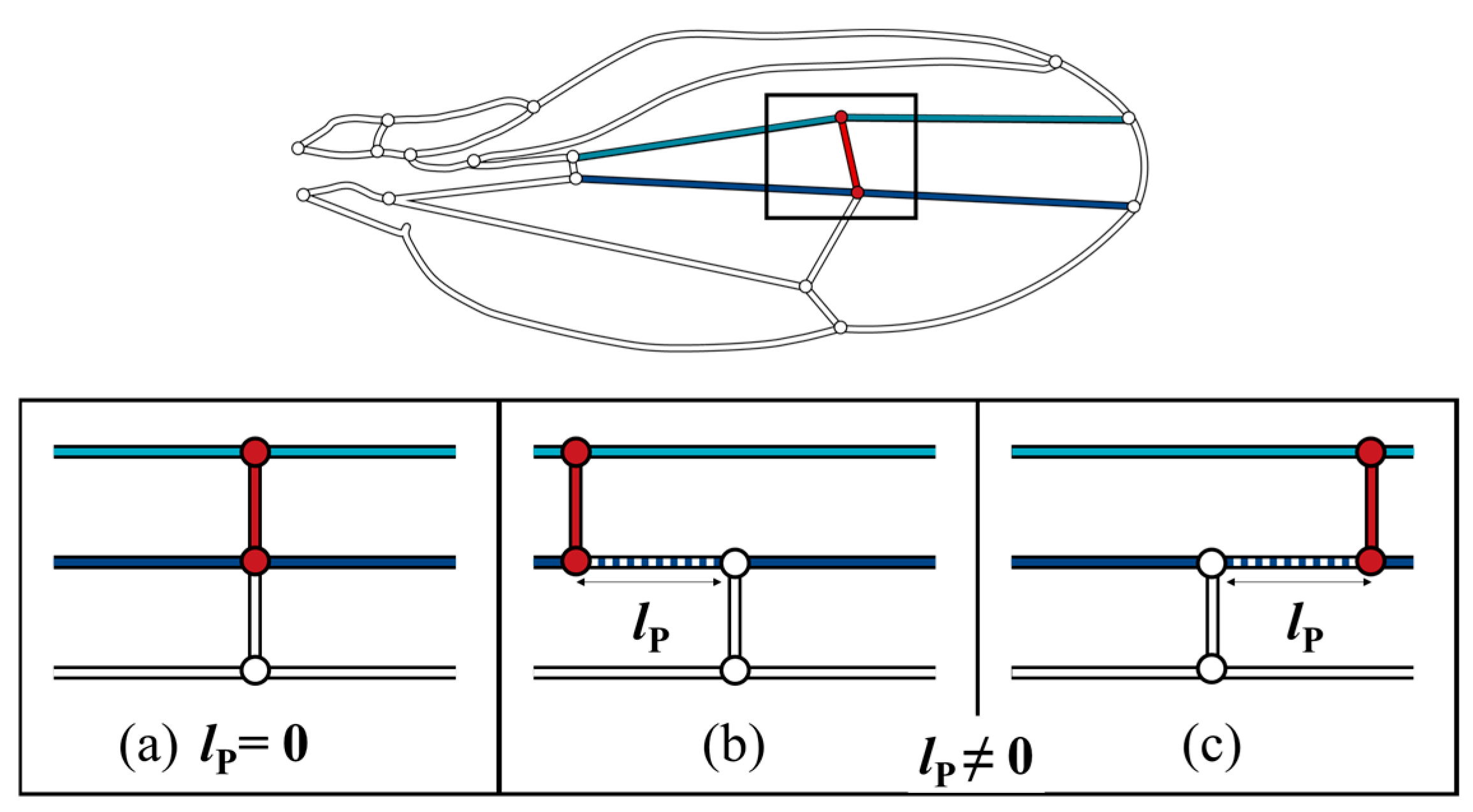 Biomimetics 09 00451 g007