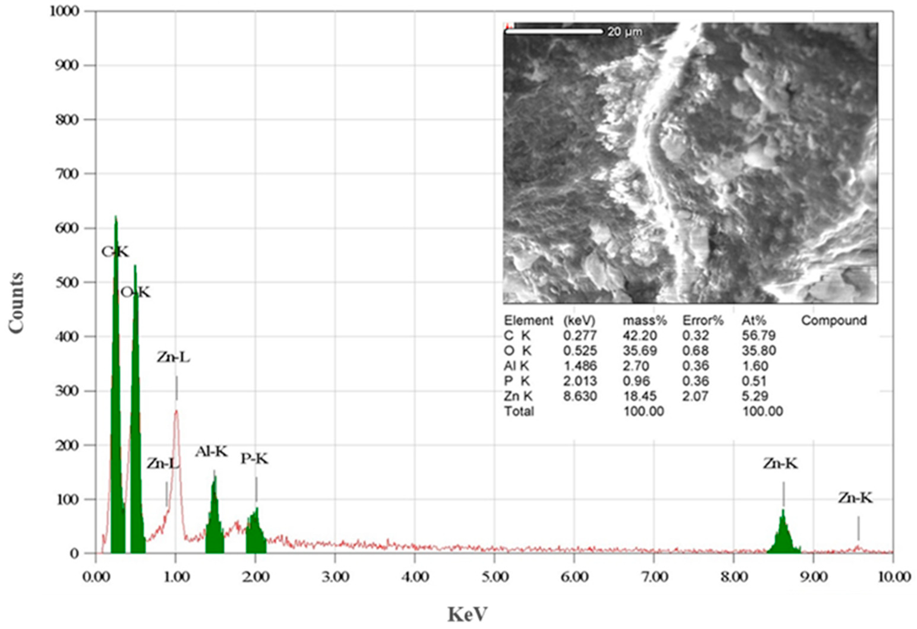 Biomimetics 09 00456 g005