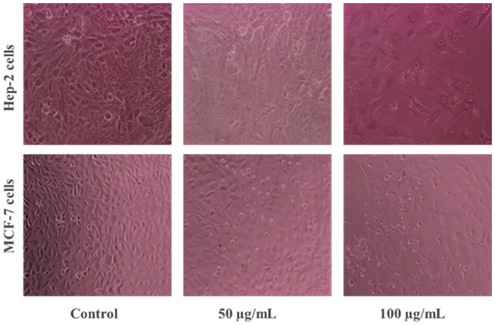 Biomimetics 09 00456 g007