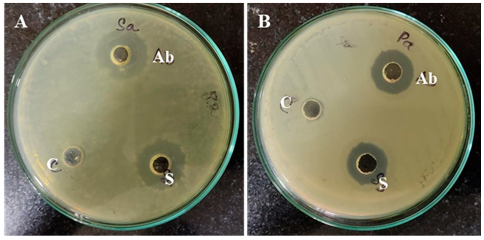 Biomimetics 09 00456 g008