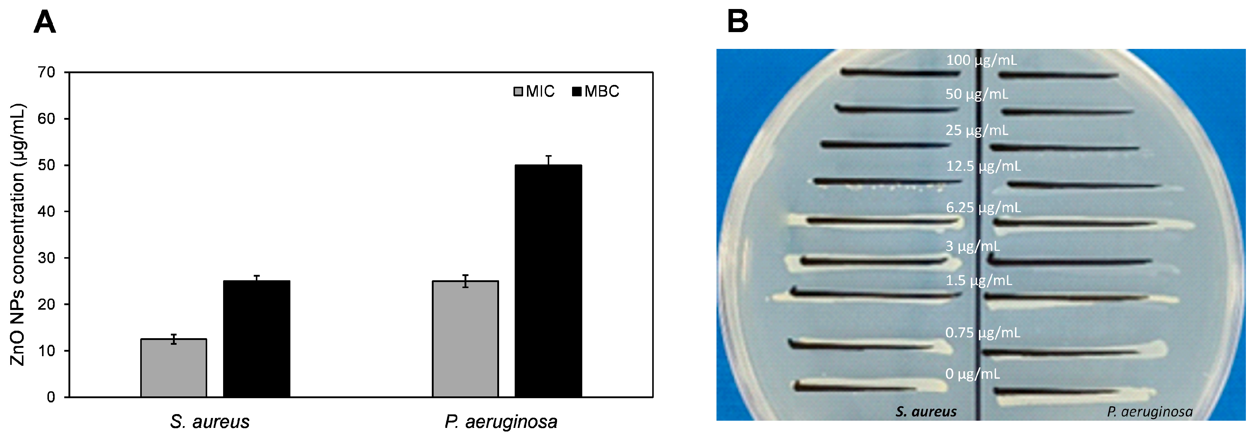 Biomimetics 09 00456 g010