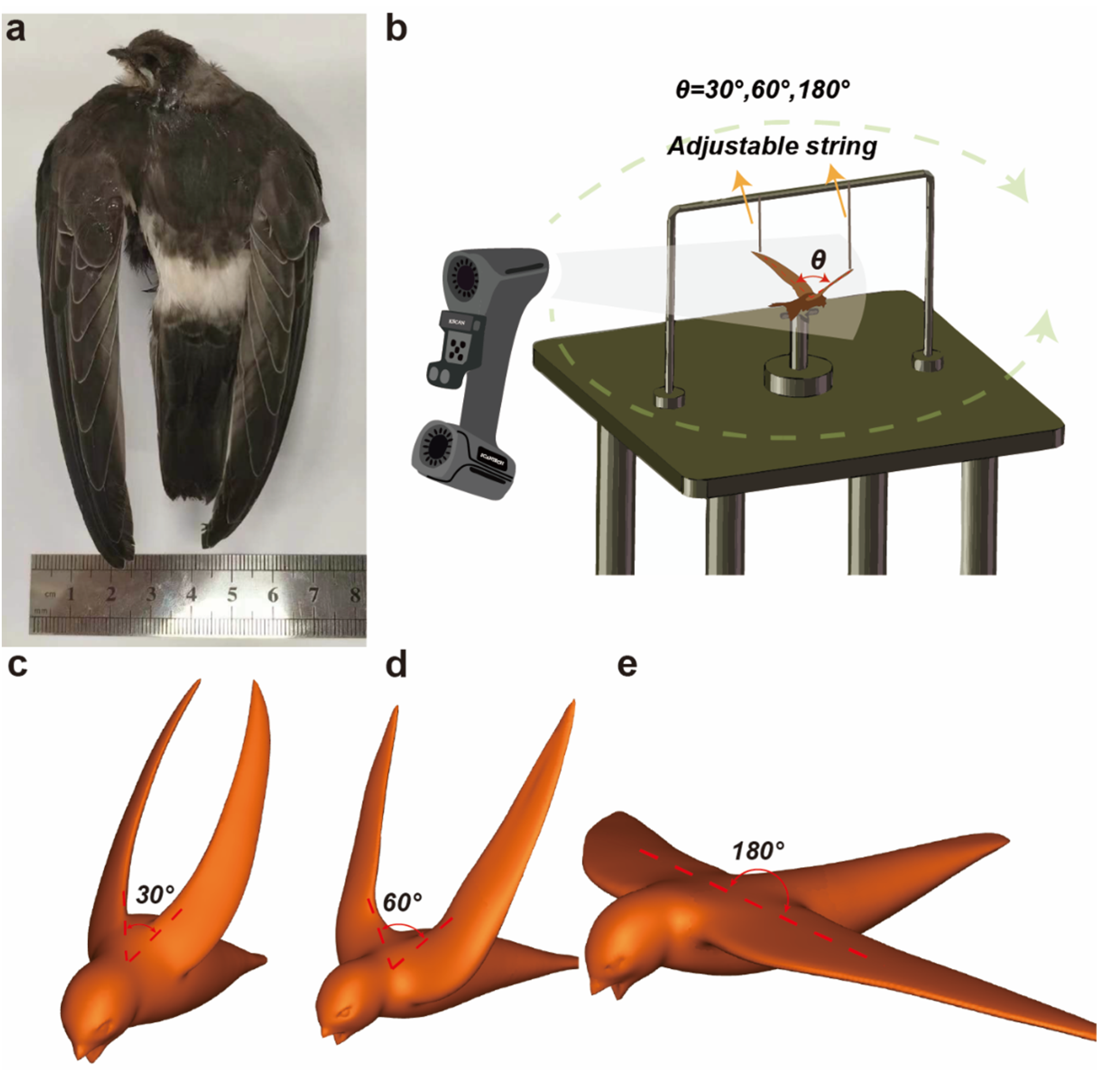 Biomimetics 09 00457 g002