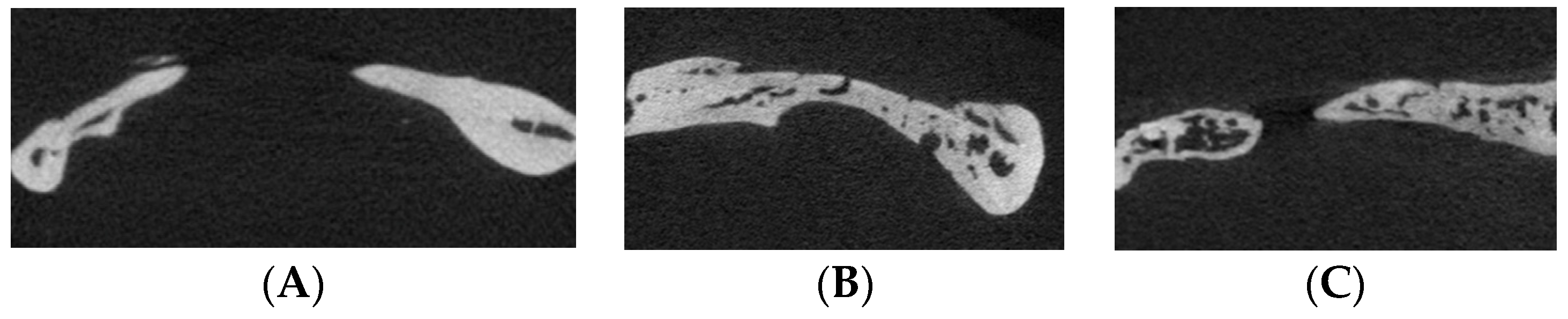 Biomimetics 09 00466 g002