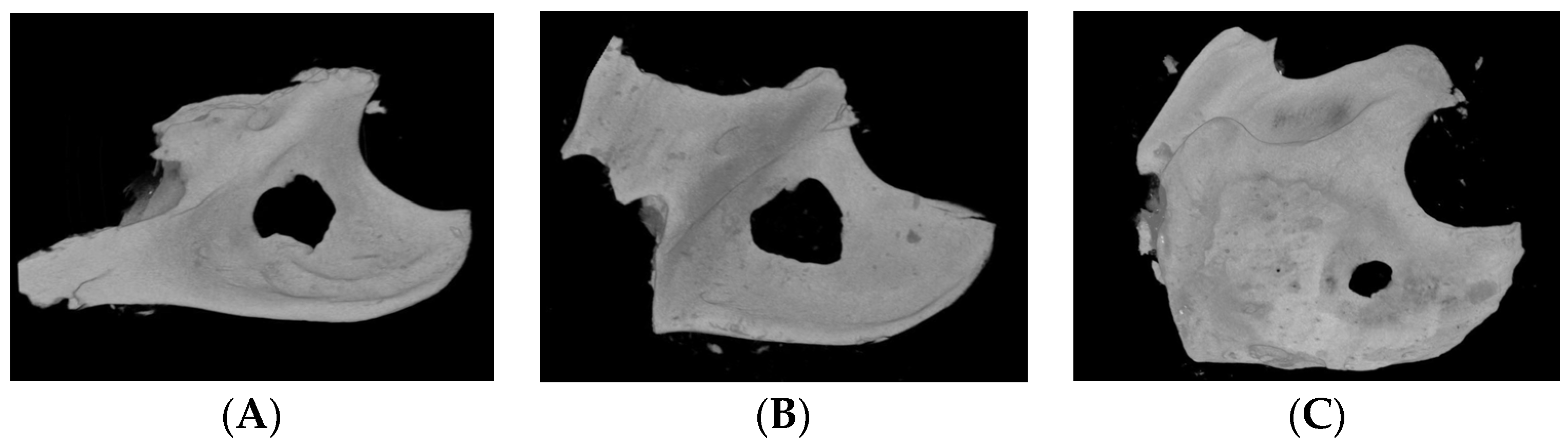 Biomimetics 09 00466 g003