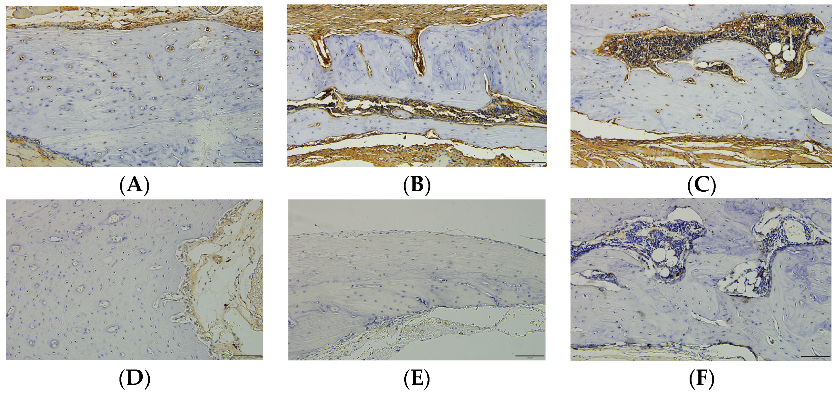 Biomimetics 09 00466 g006