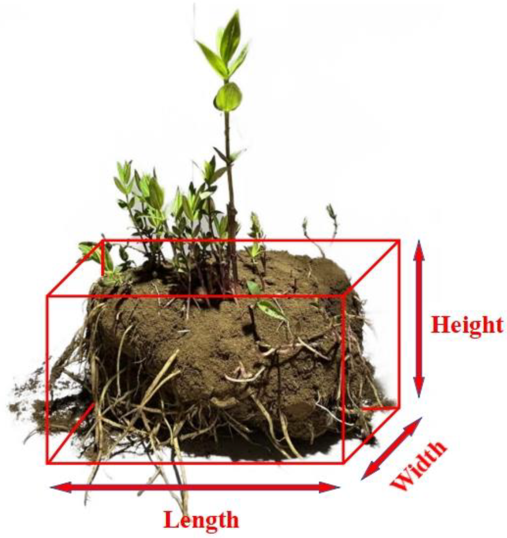 41588_2018_333_Fig1_HTML.png