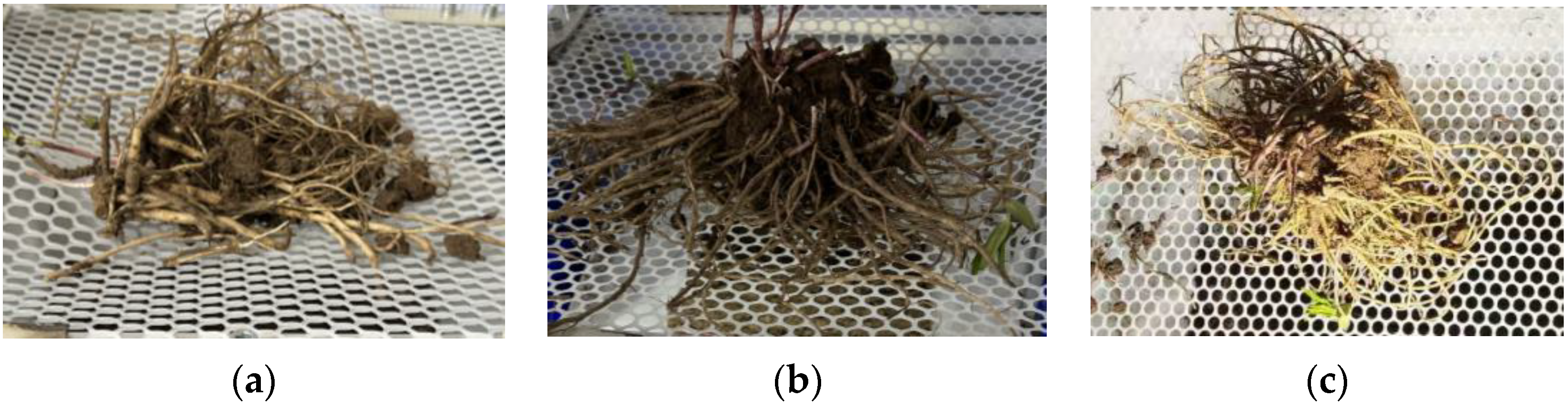 Biomimetics 09 00479 g009