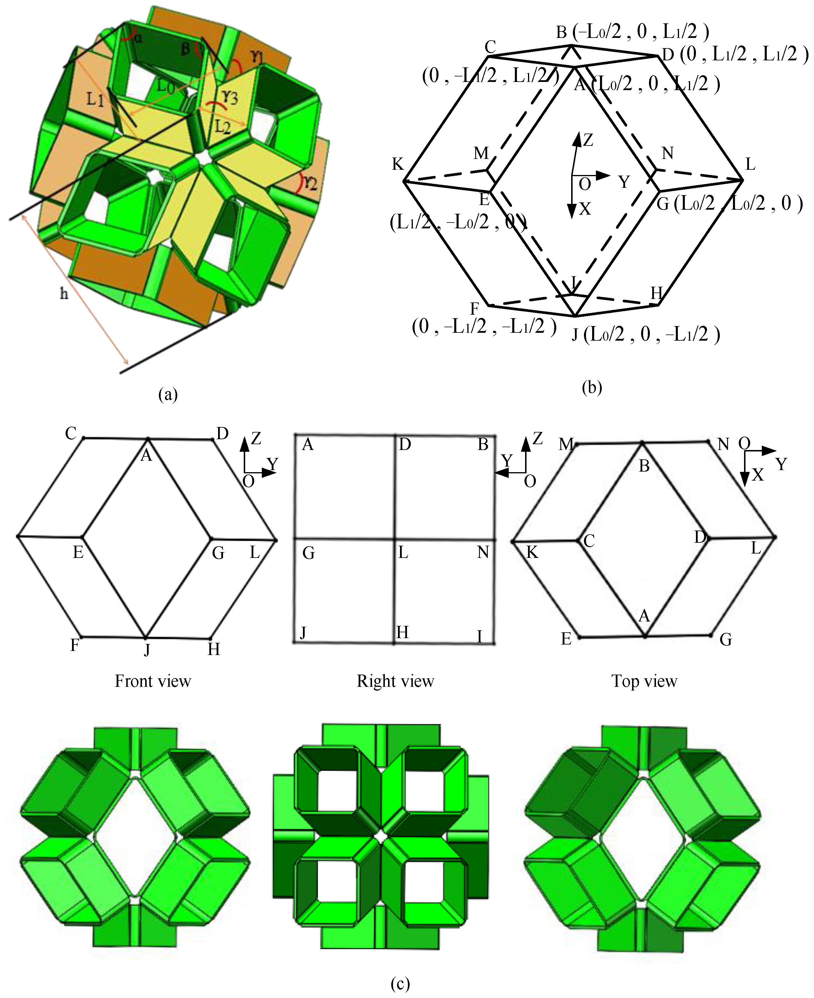 Biomimetics 09 00482 g001