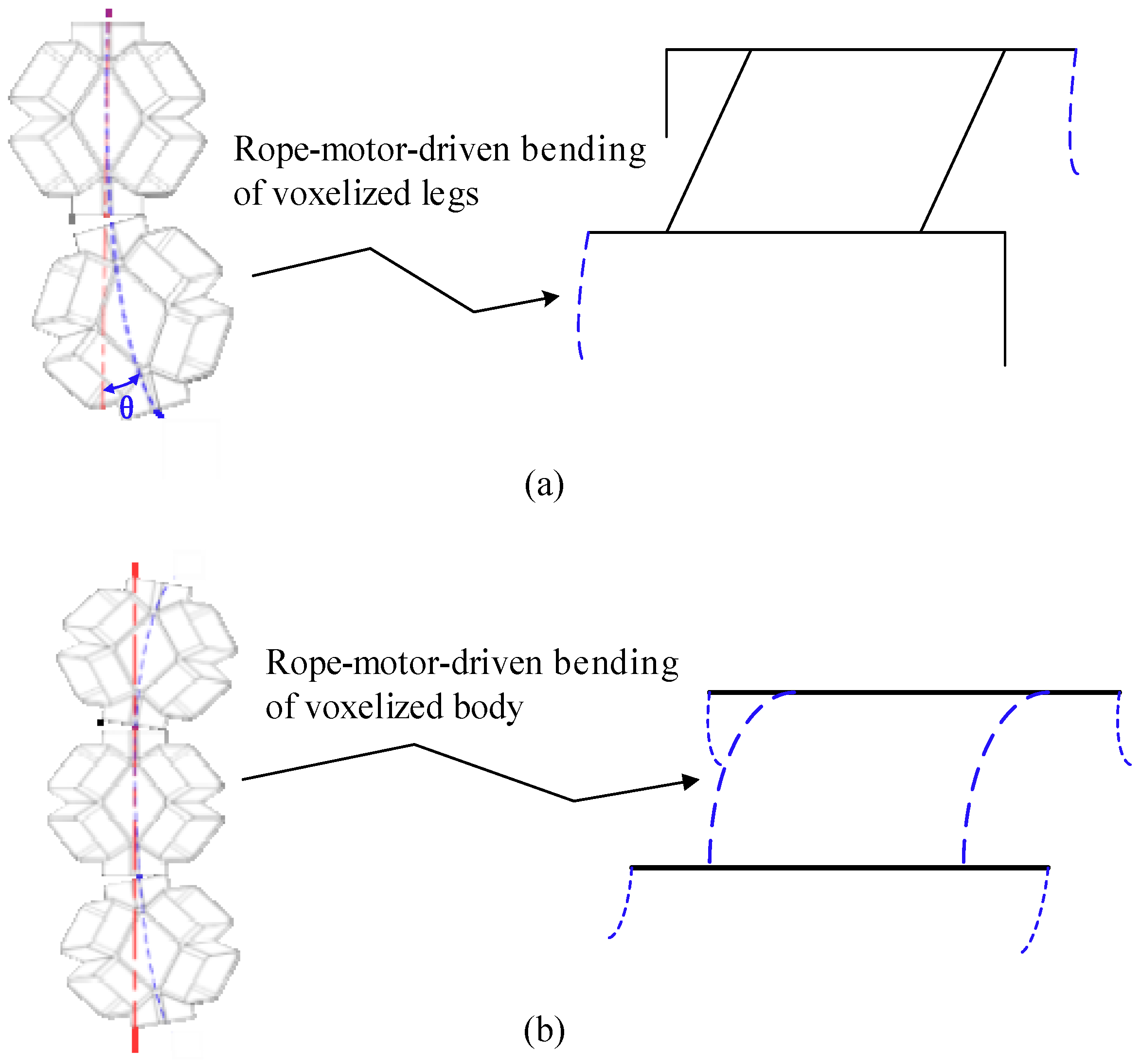 Biomimetics 09 00482 g007