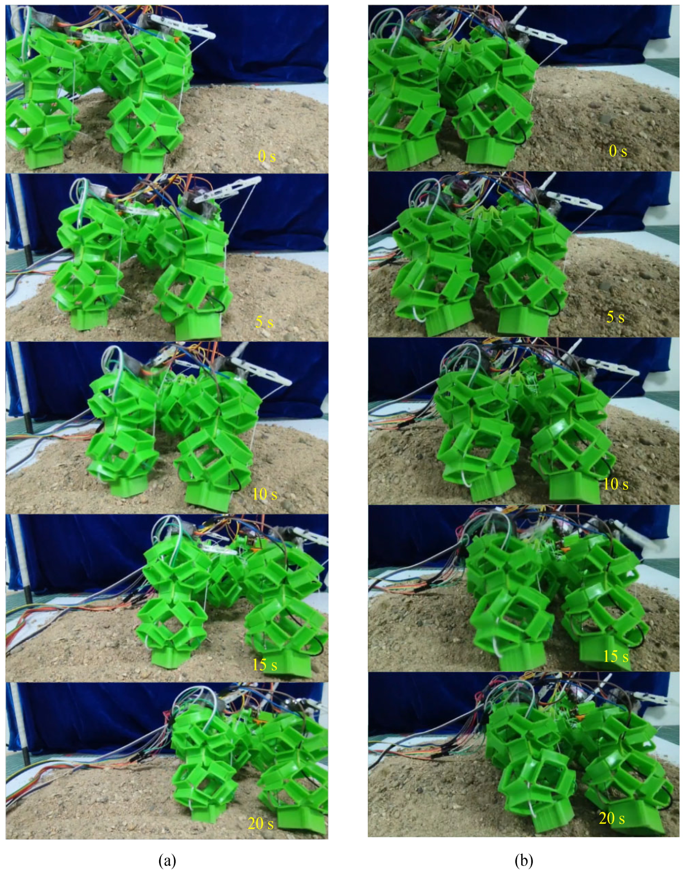 Biomimetics 09 00482 g012