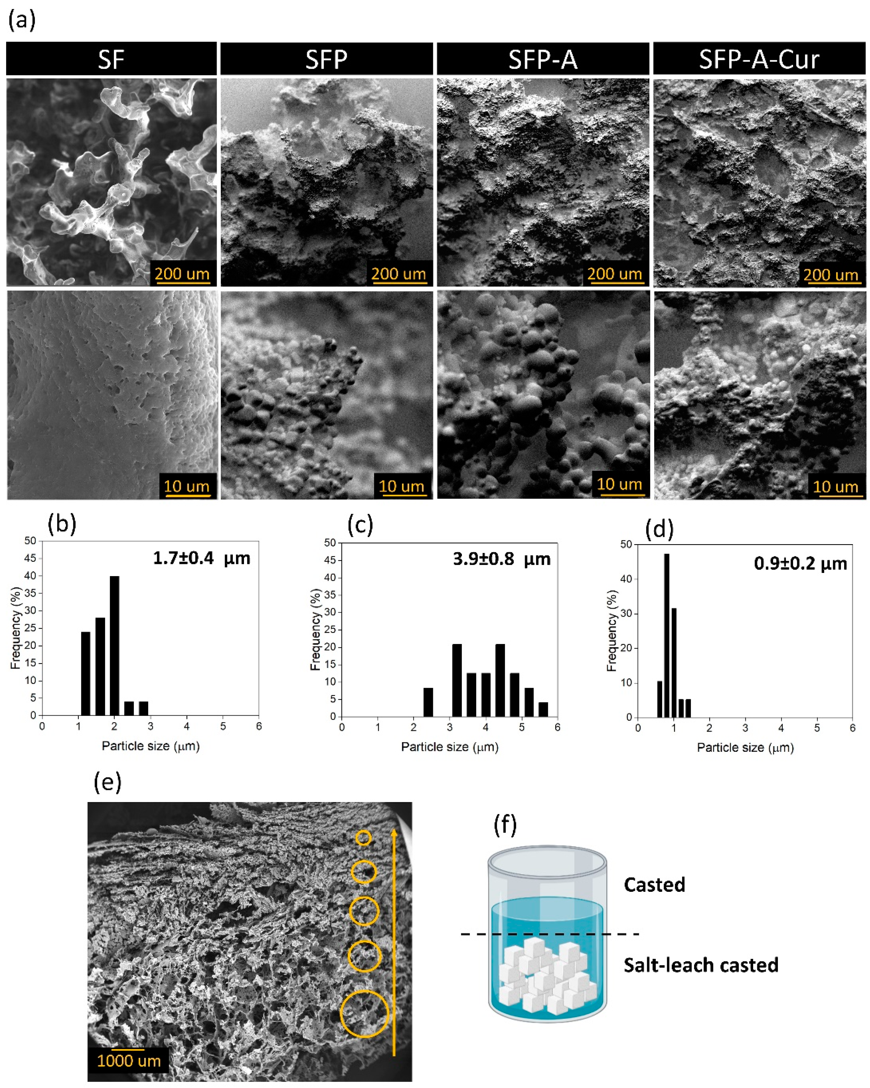 Biomimetics 09 00483 g001