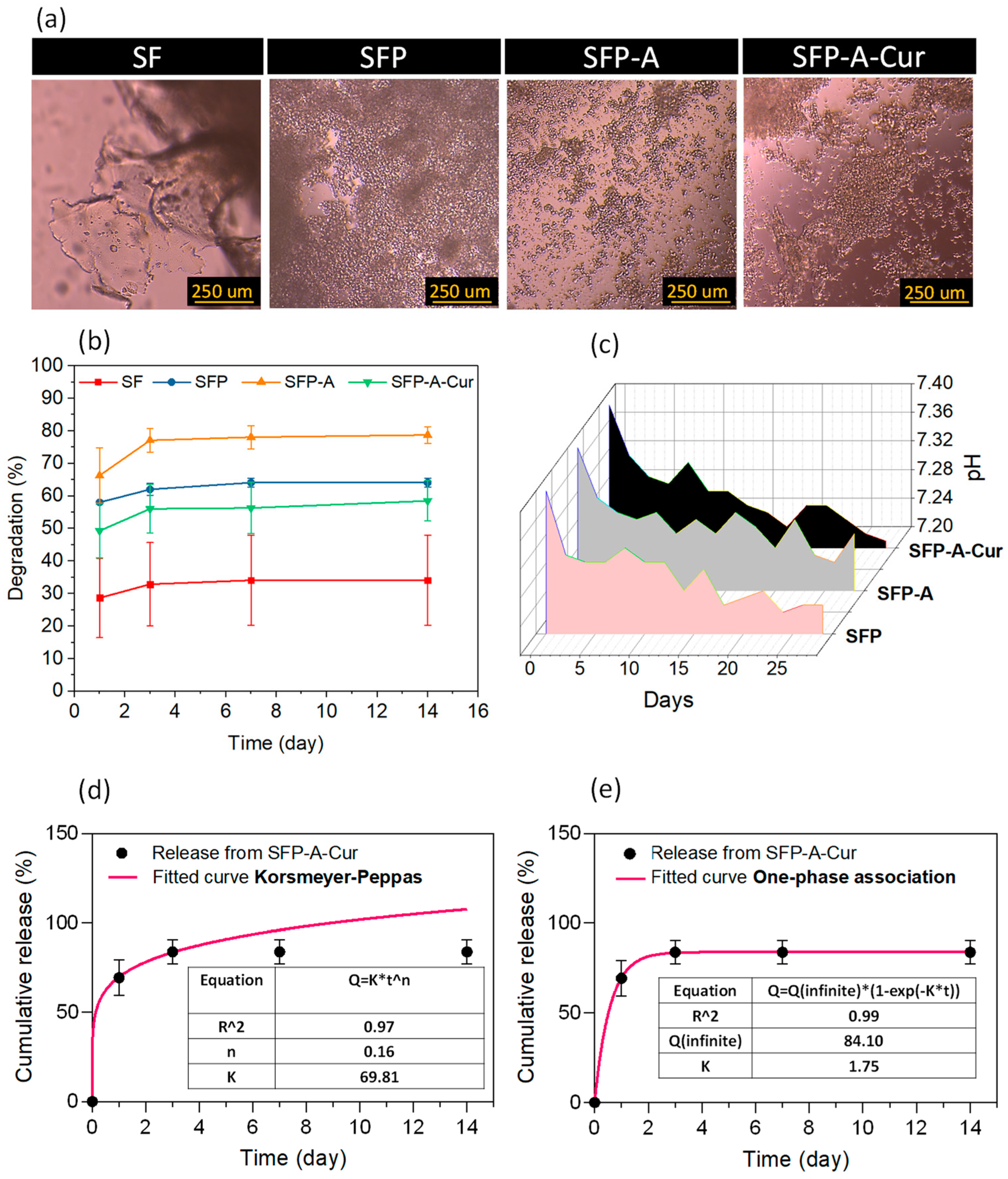 Biomimetics 09 00483 g003