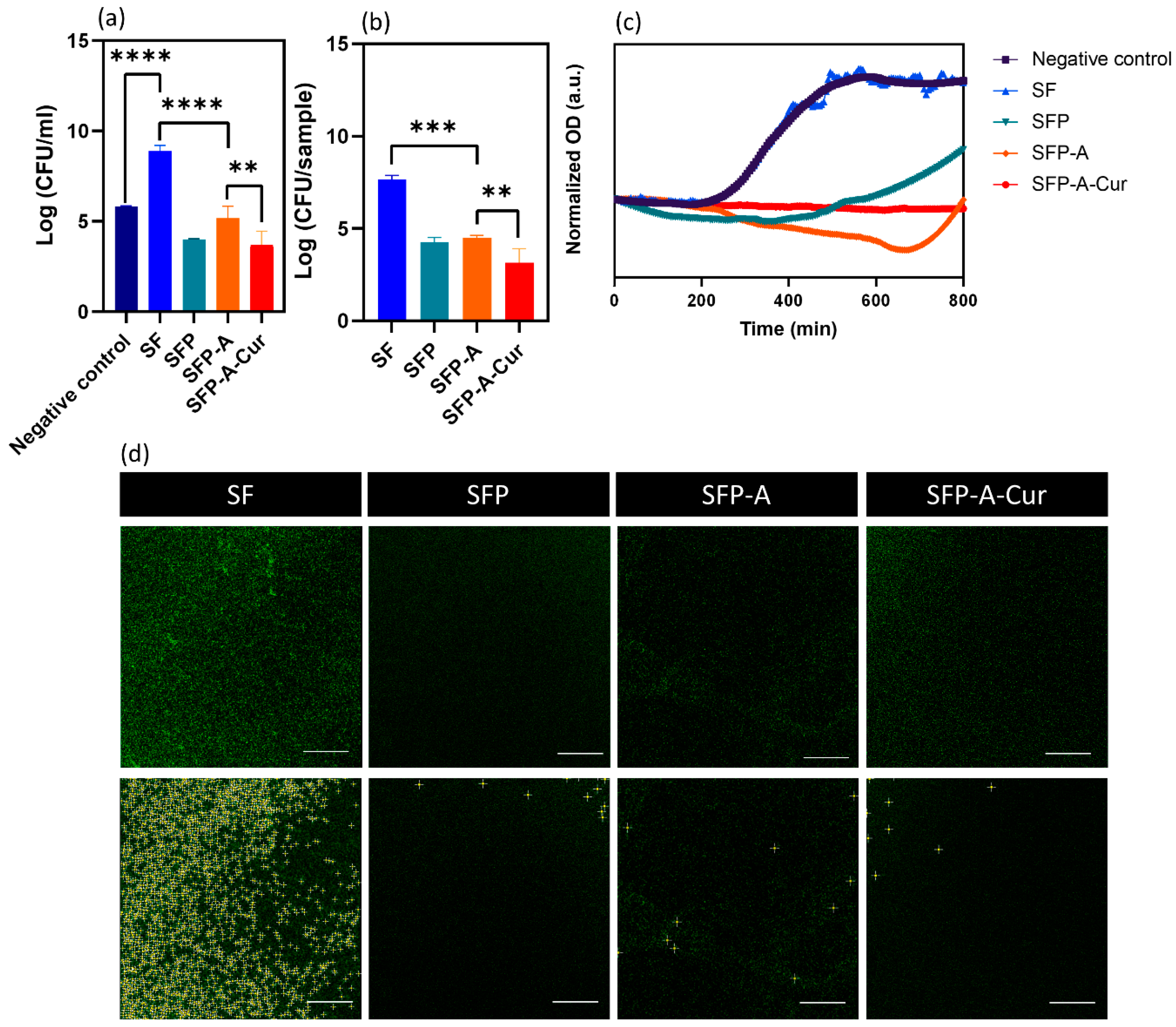 Biomimetics 09 00483 g005