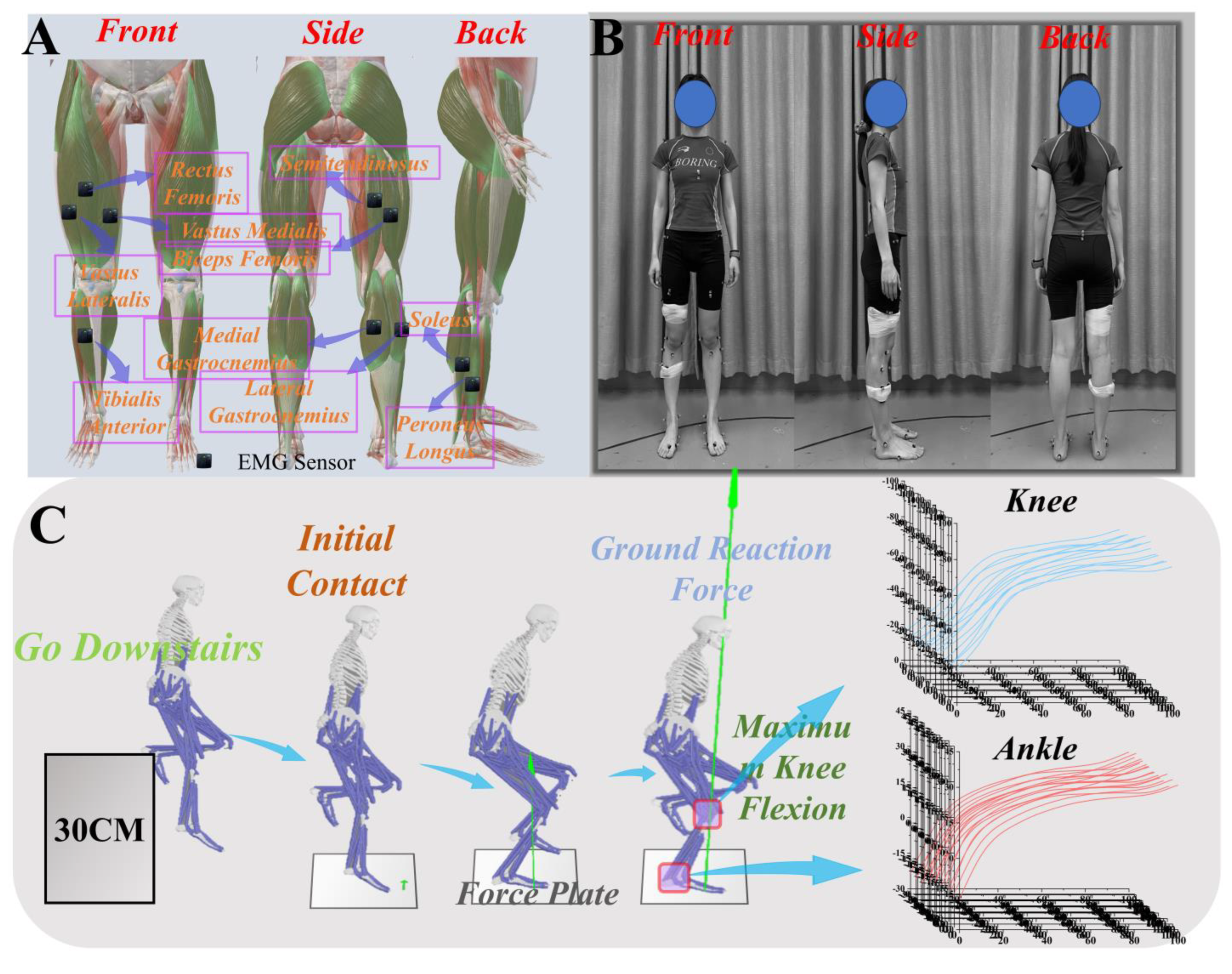 Biomimetics 09 00489 g001