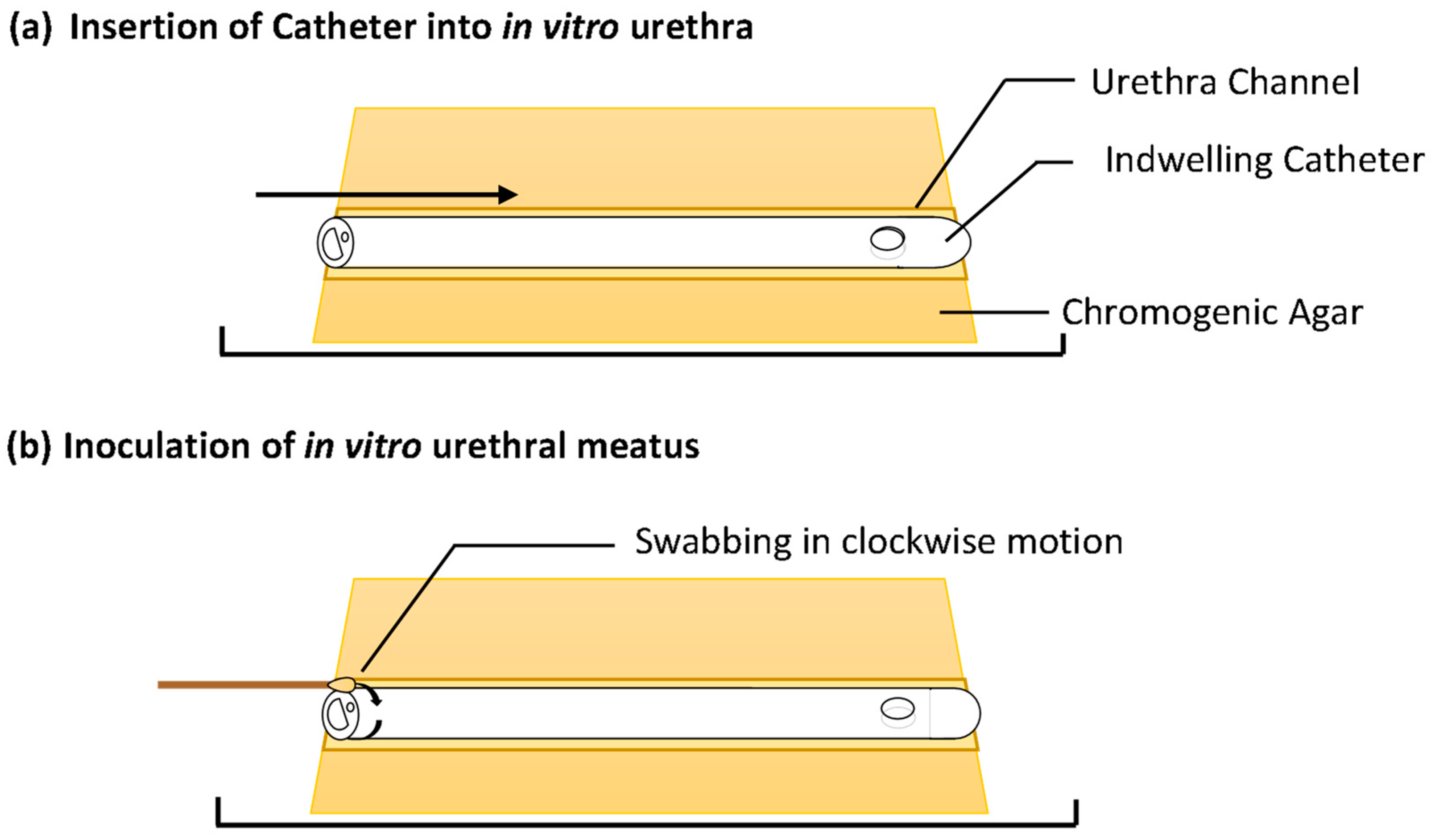 Biomimetics 09 00491 g002a