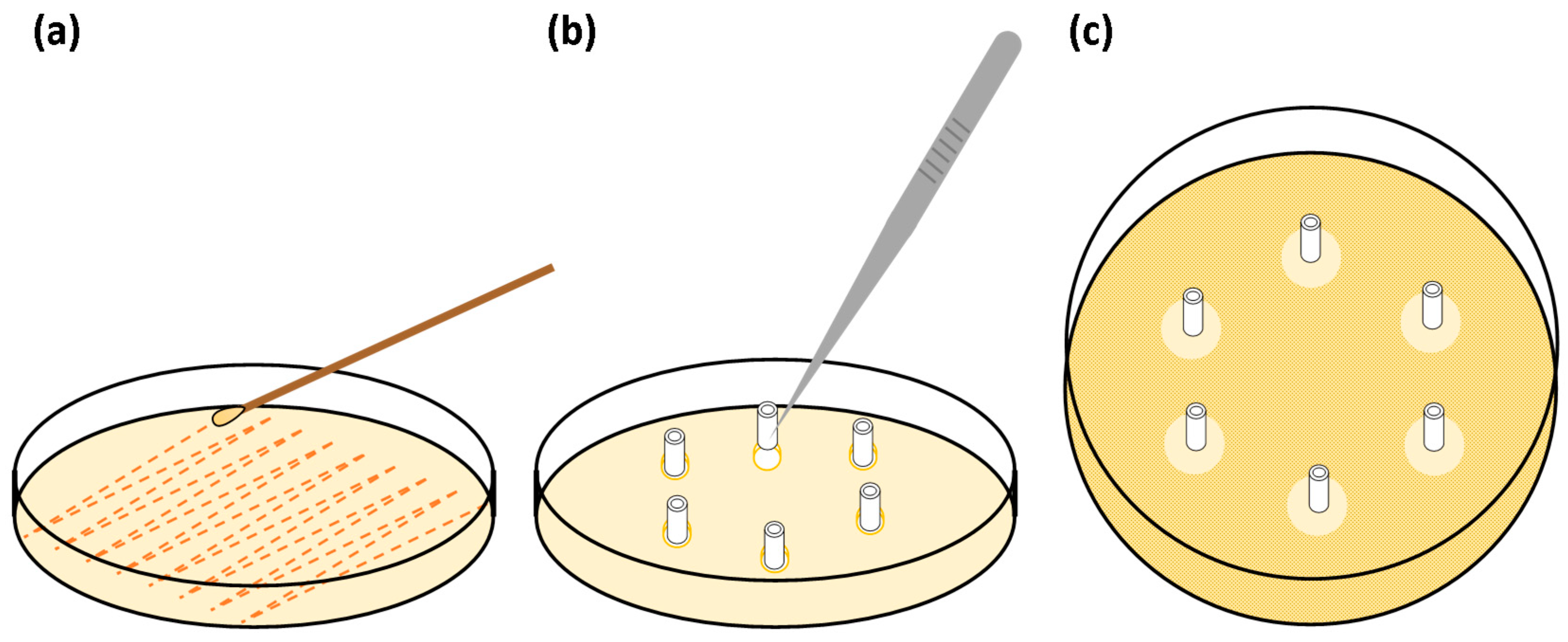 Biomimetics 09 00491 g003