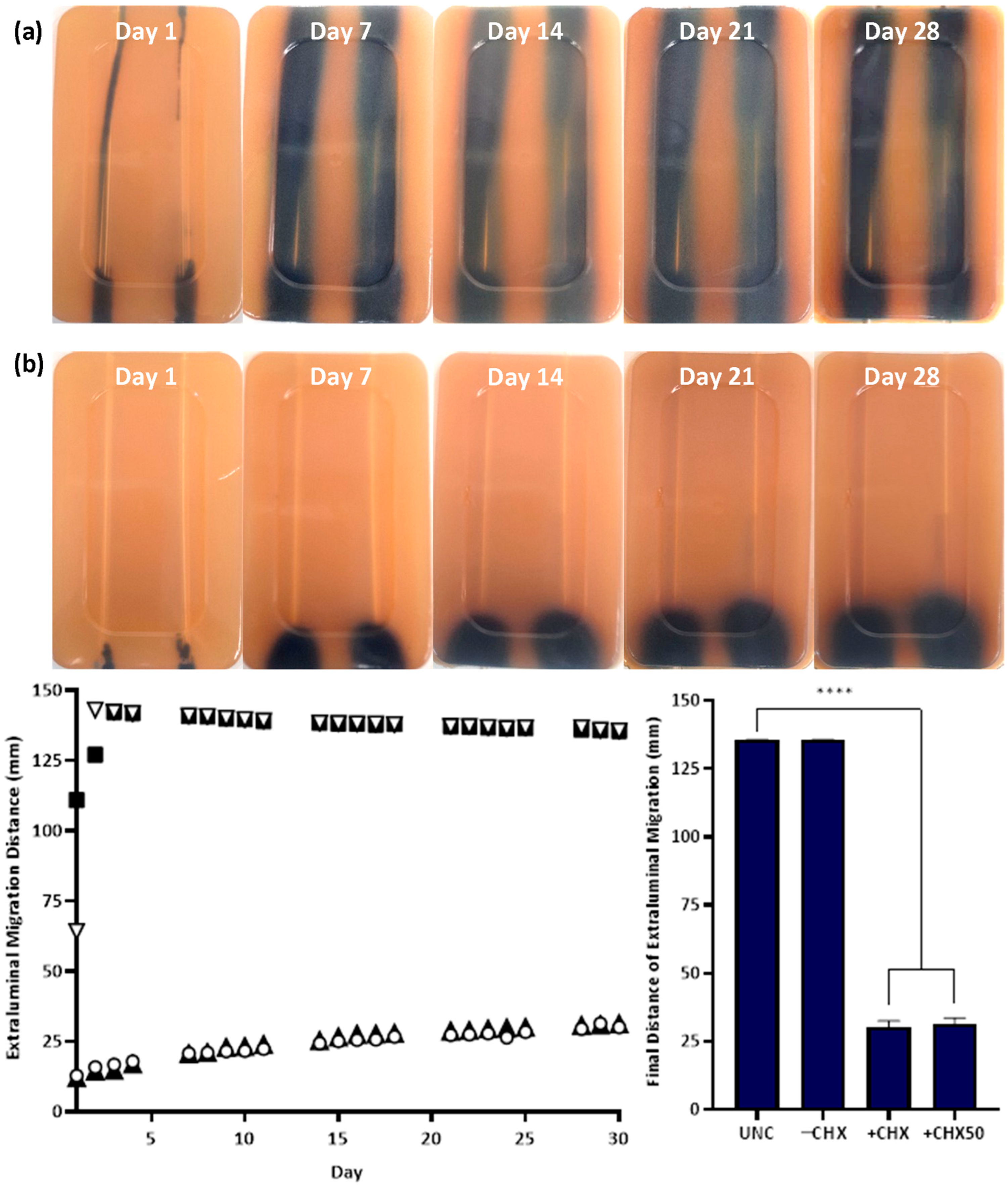 Biomimetics 09 00491 g004