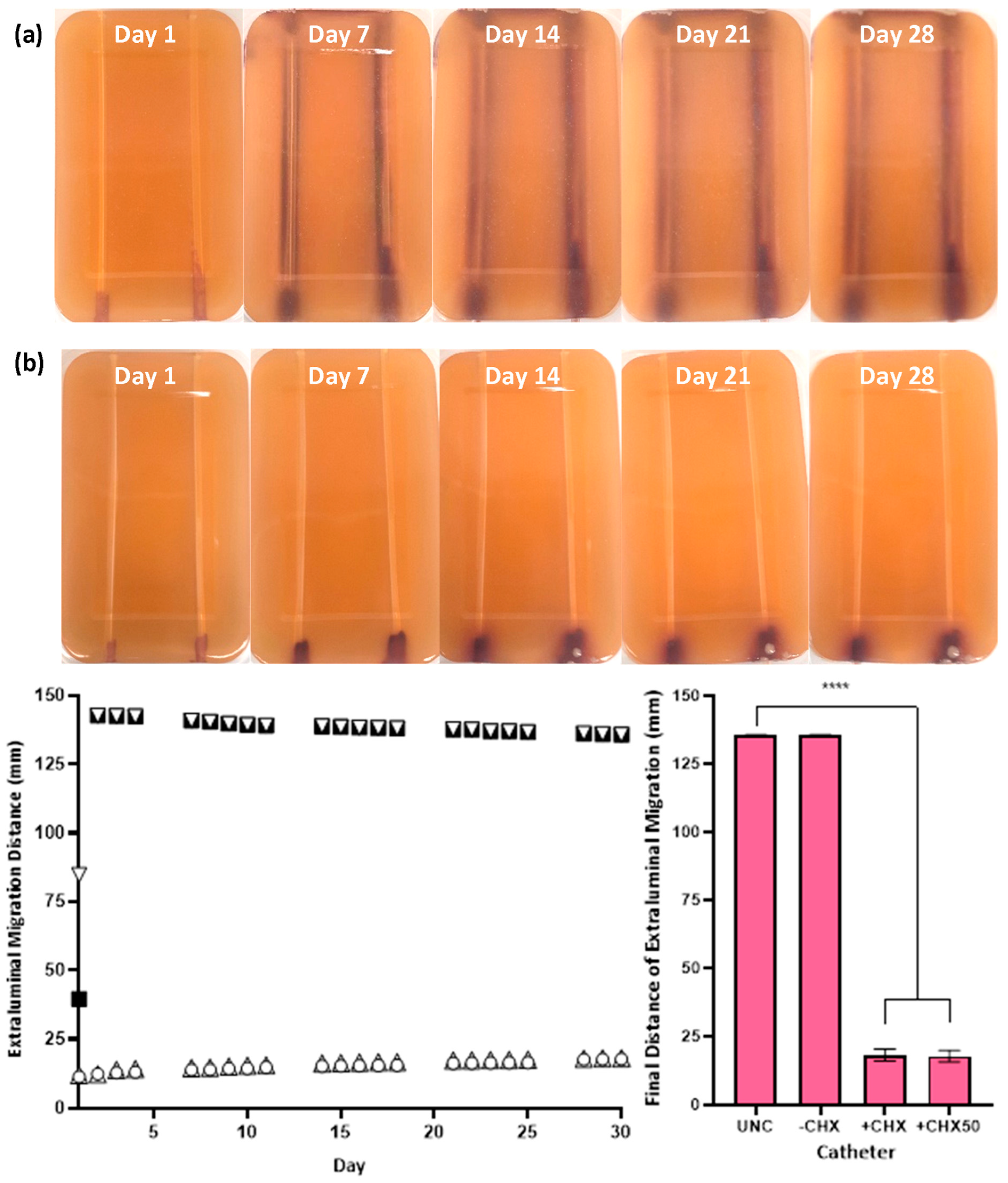 Biomimetics 09 00491 g005