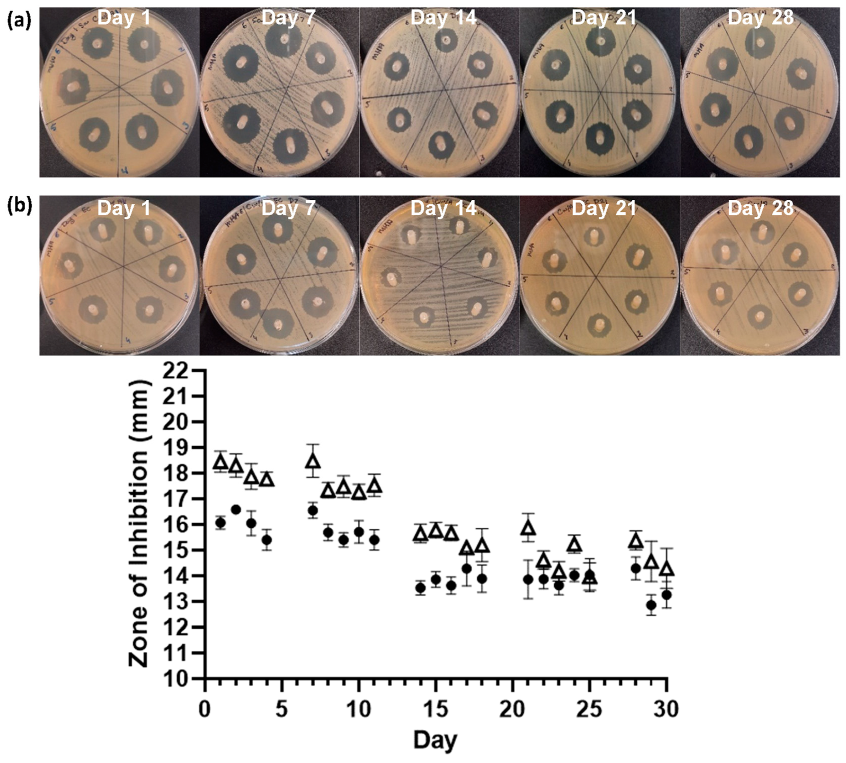 Biomimetics 09 00491 g006