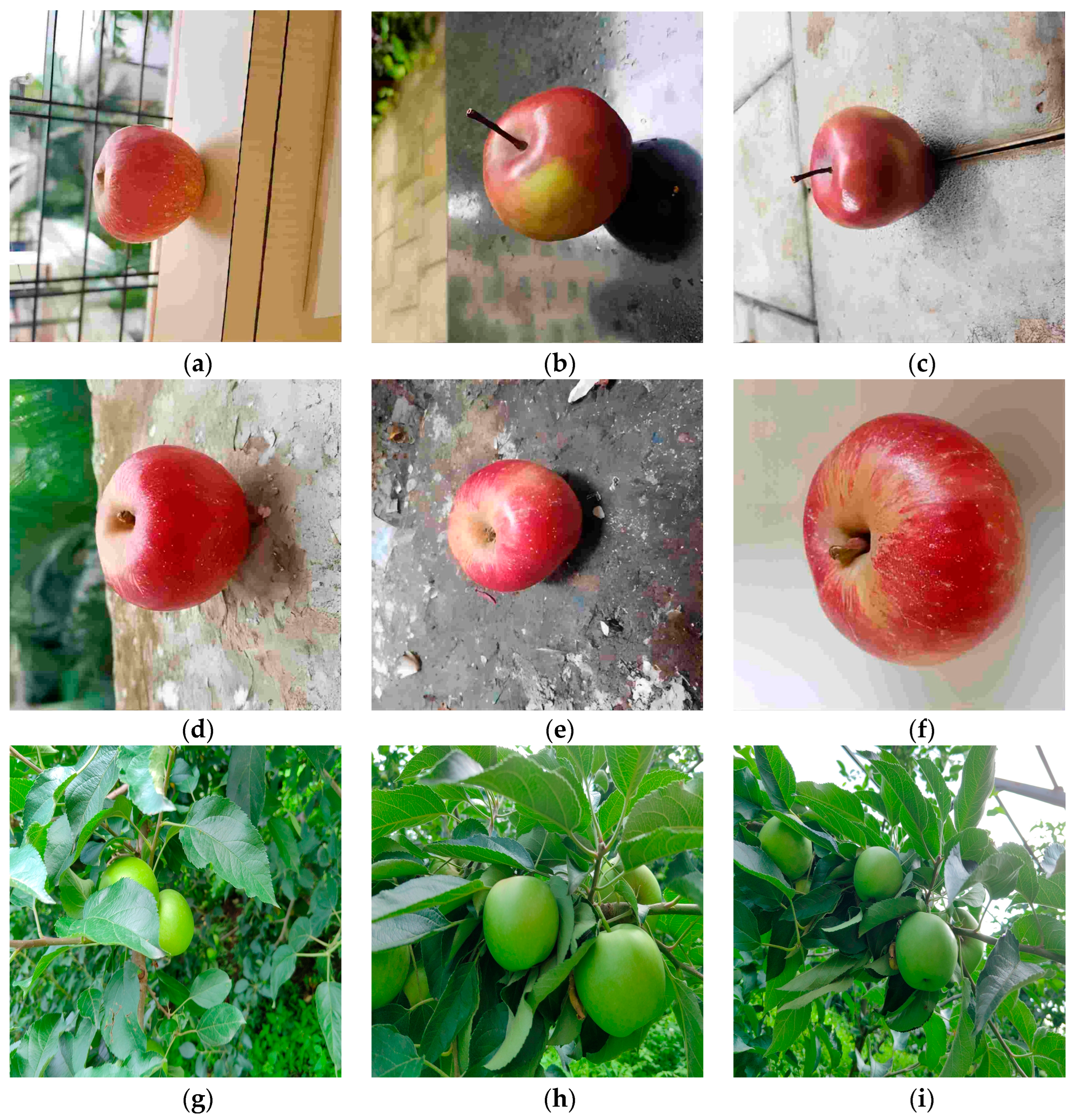 Biomimetics 09 00495 g002