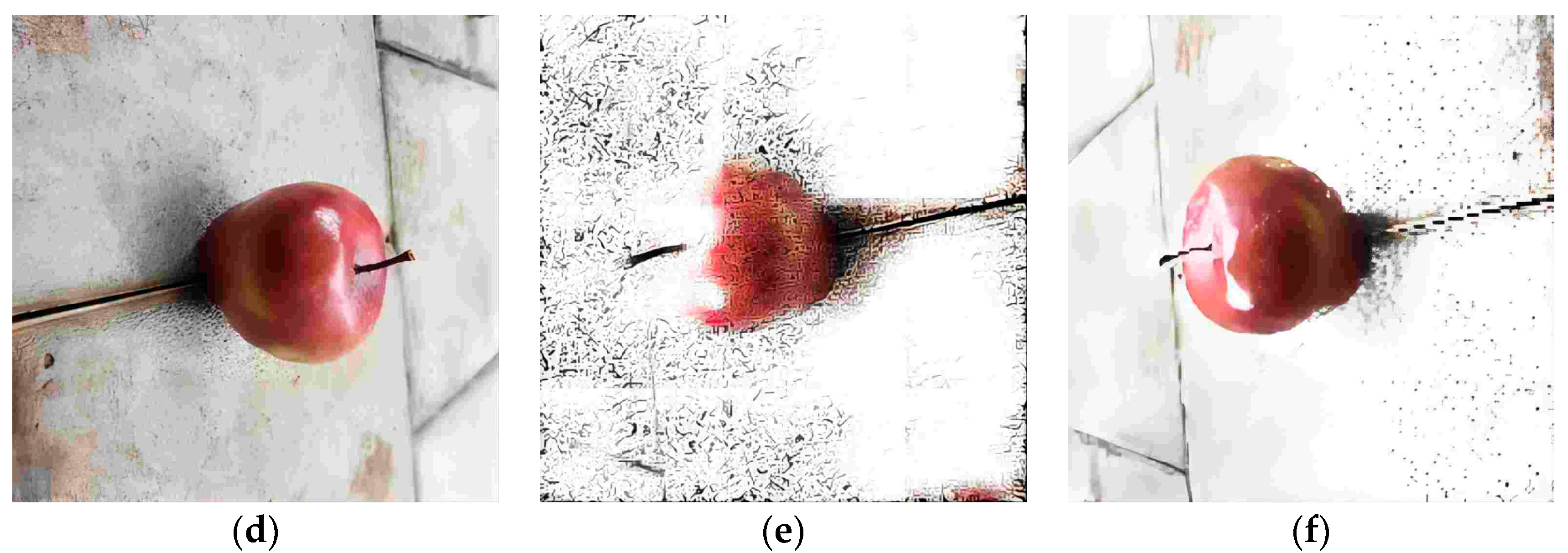 Biomimetics 09 00495 g003b