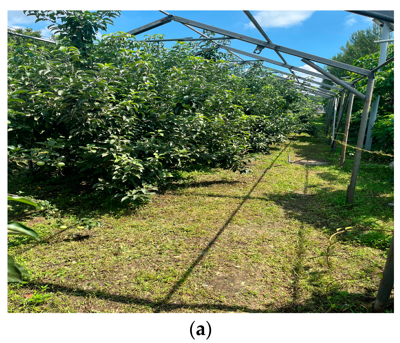 Biomimetics 09 00495 g013a