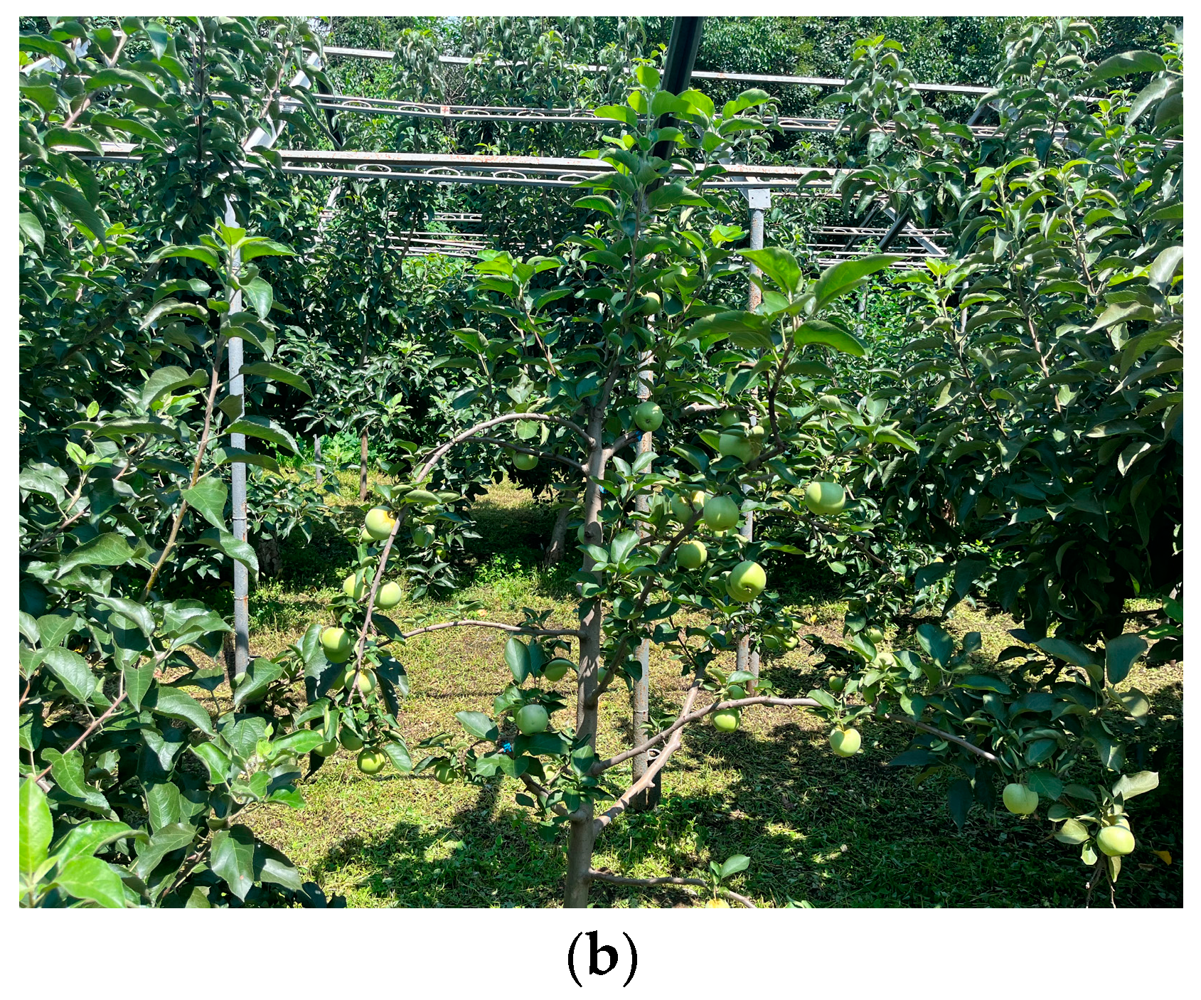 Biomimetics 09 00495 g013b