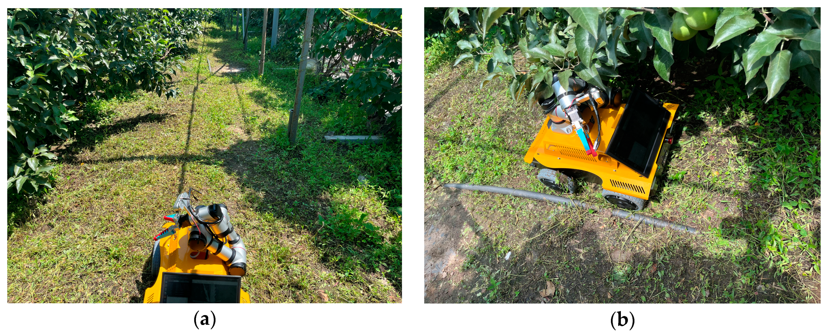 Biomimetics 09 00495 g014a