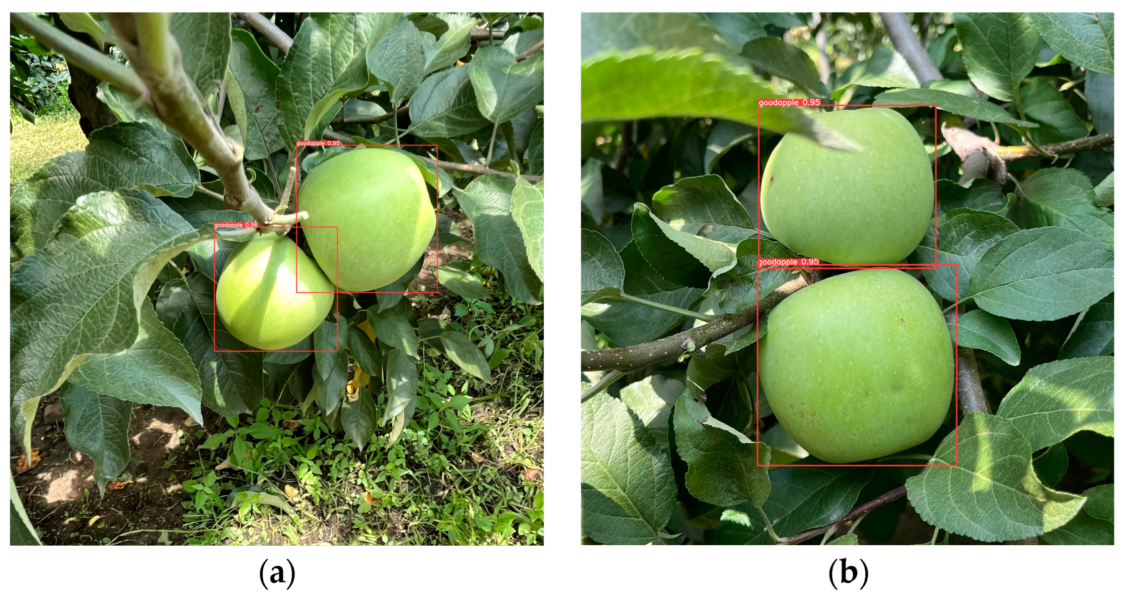 Biomimetics 09 00495 g015