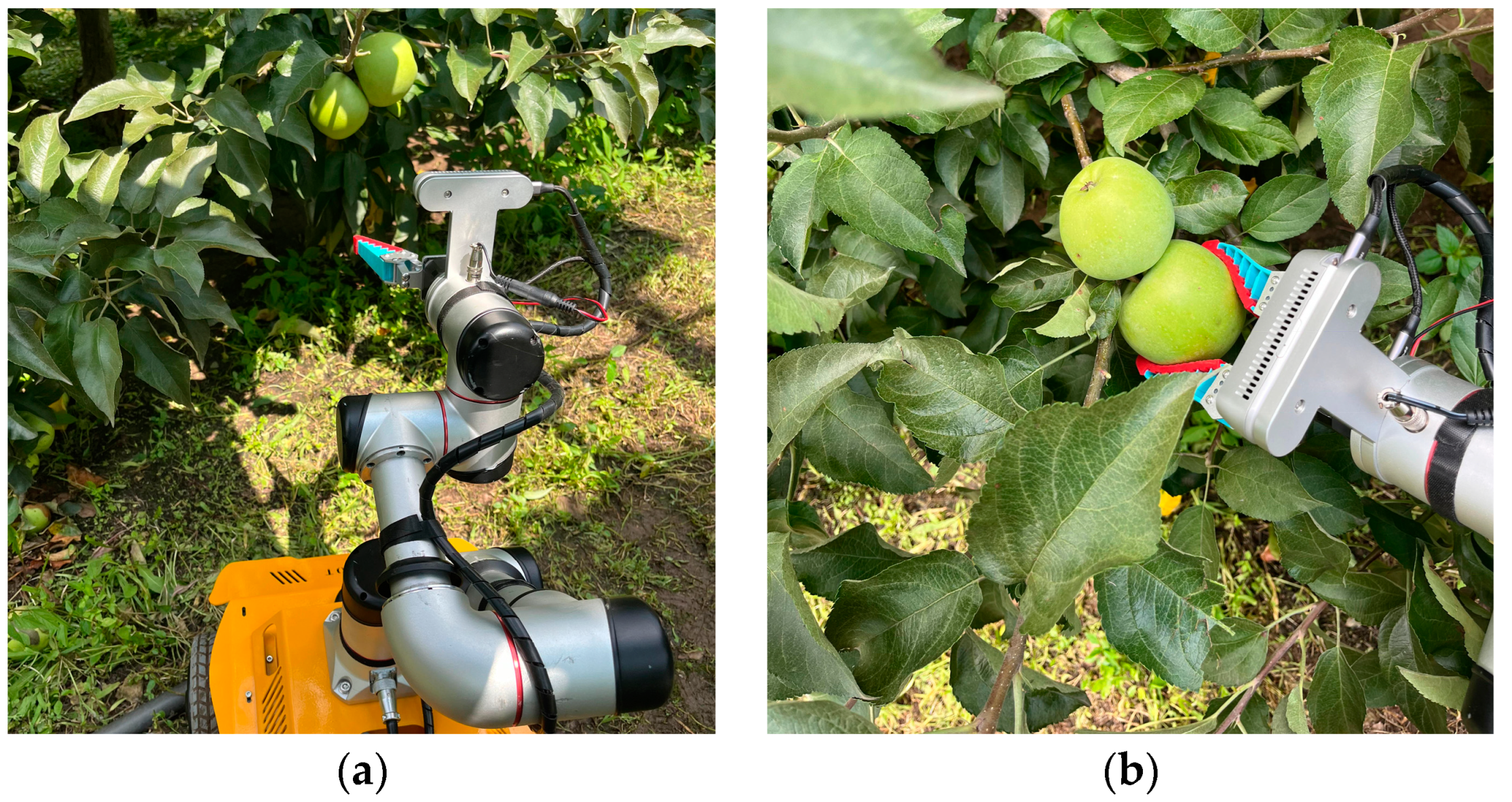 Biomimetics 09 00495 g016