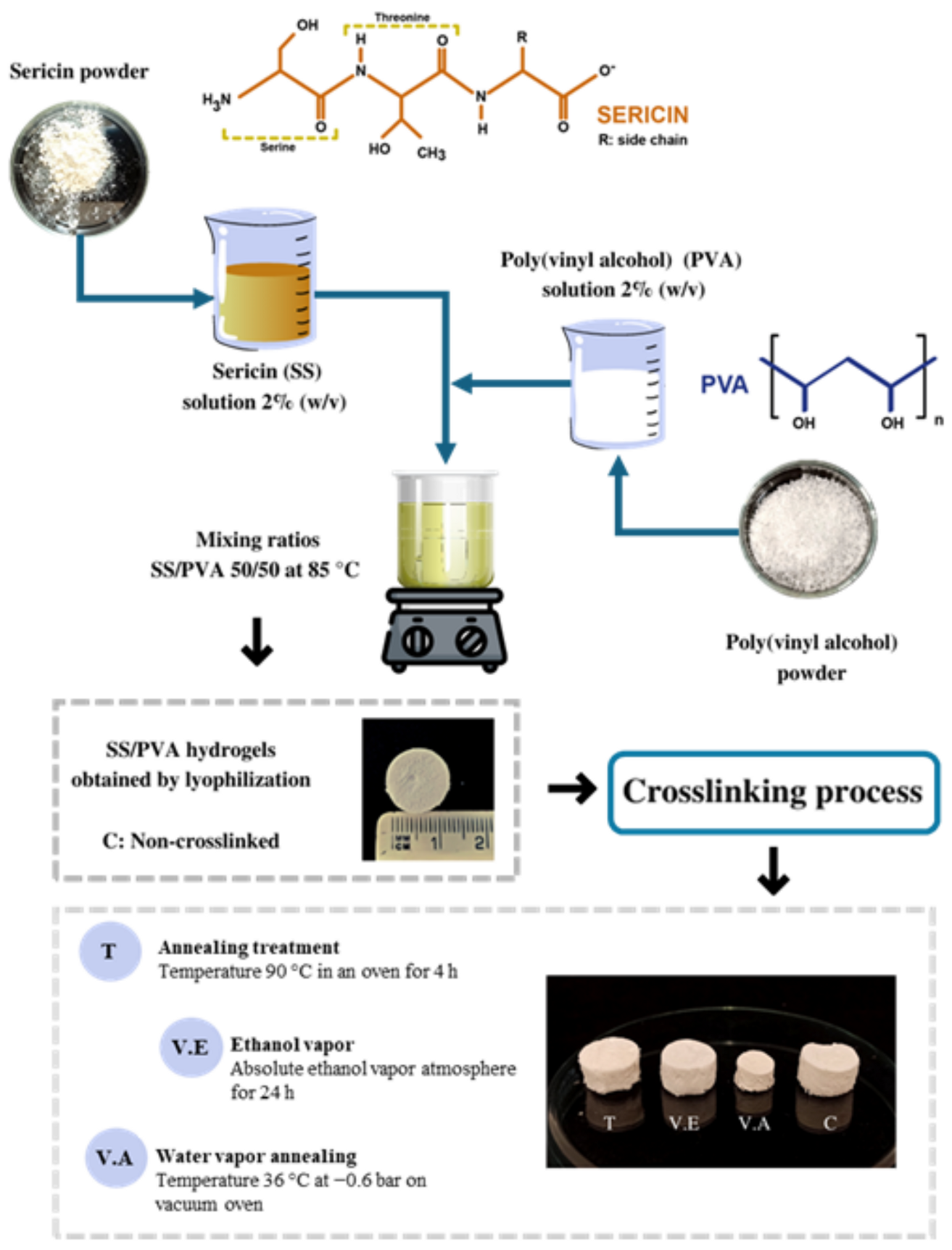Biomimetics 09 00497 g001