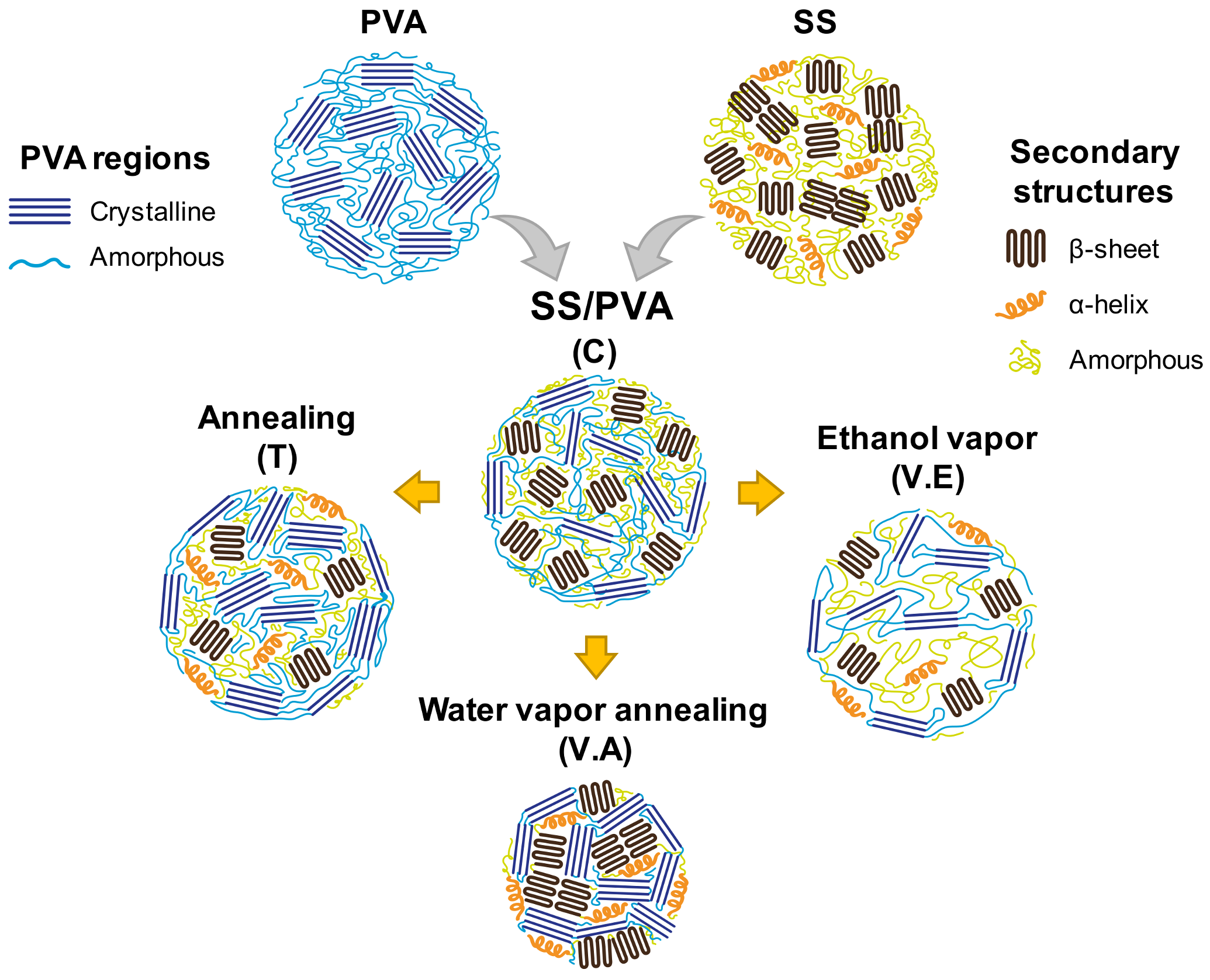 Biomimetics 09 00497 g005