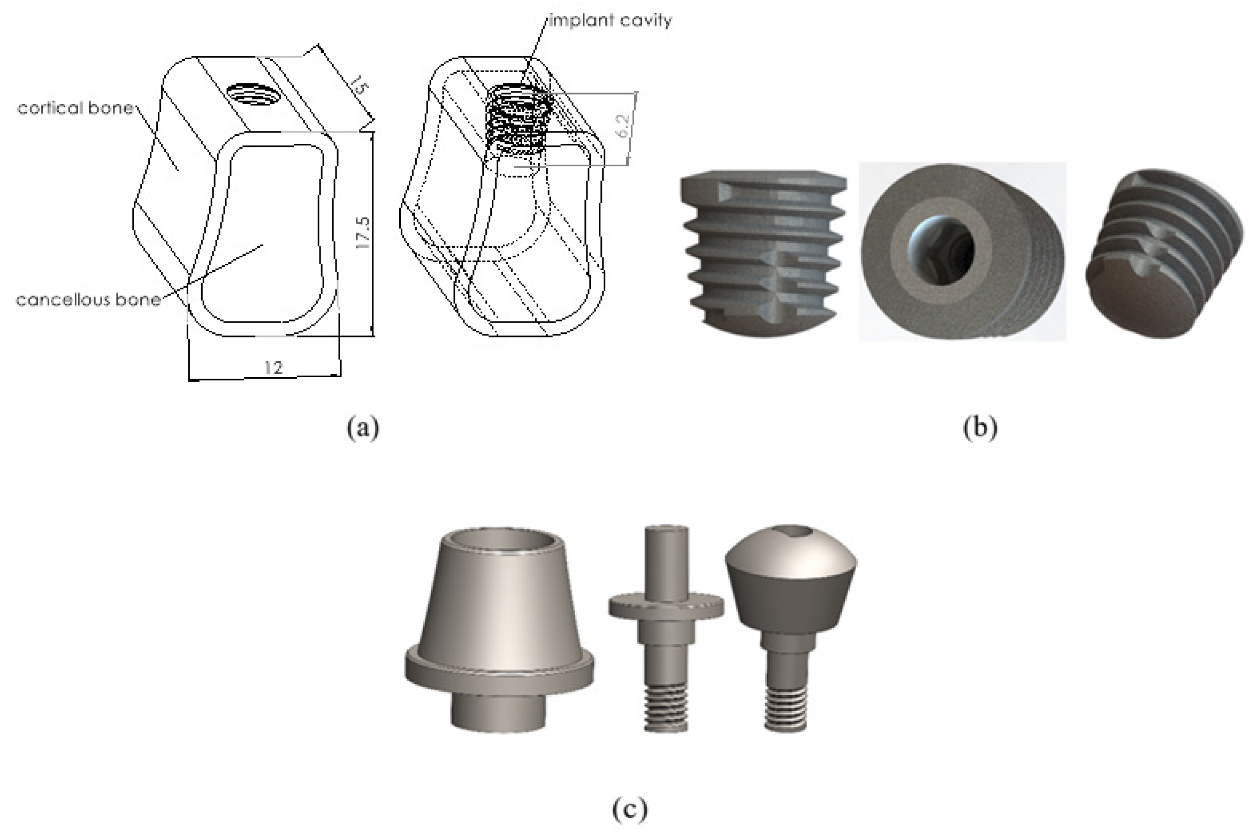 Biomimetics 09 00498 g001