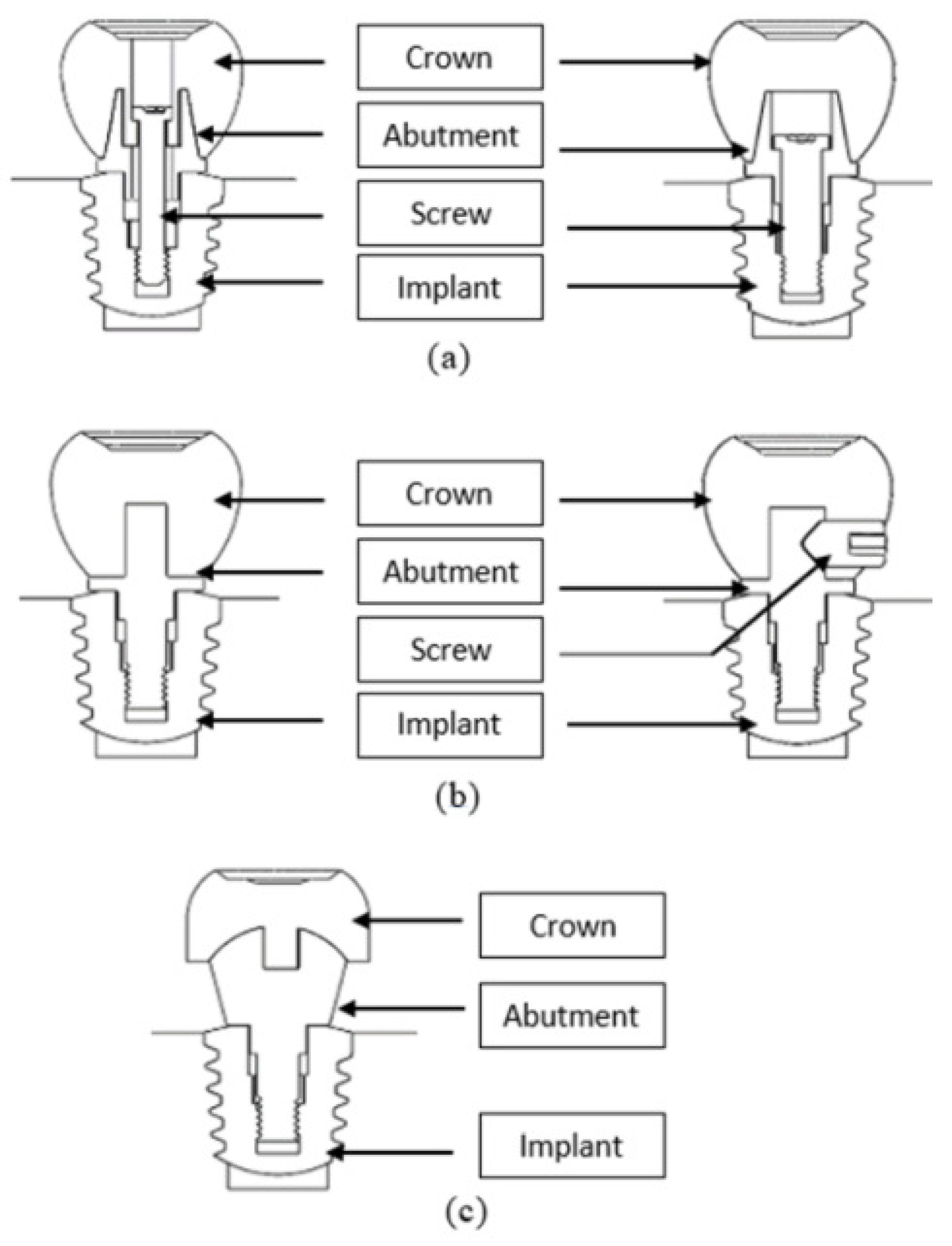 Biomimetics 09 00498 g003